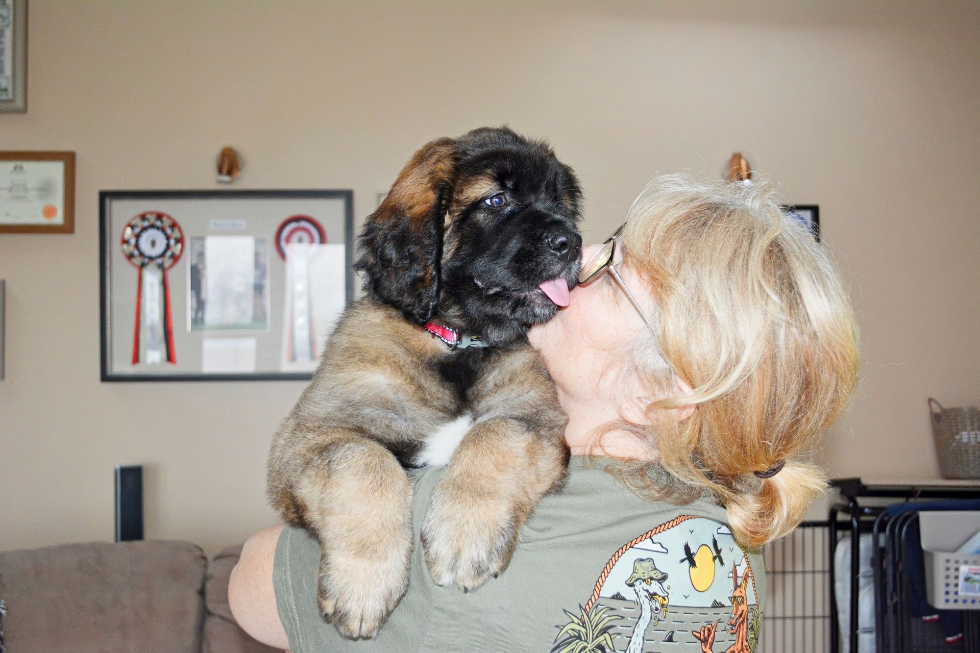 A woman is being kissed by a fluffy puppy on the cheek.