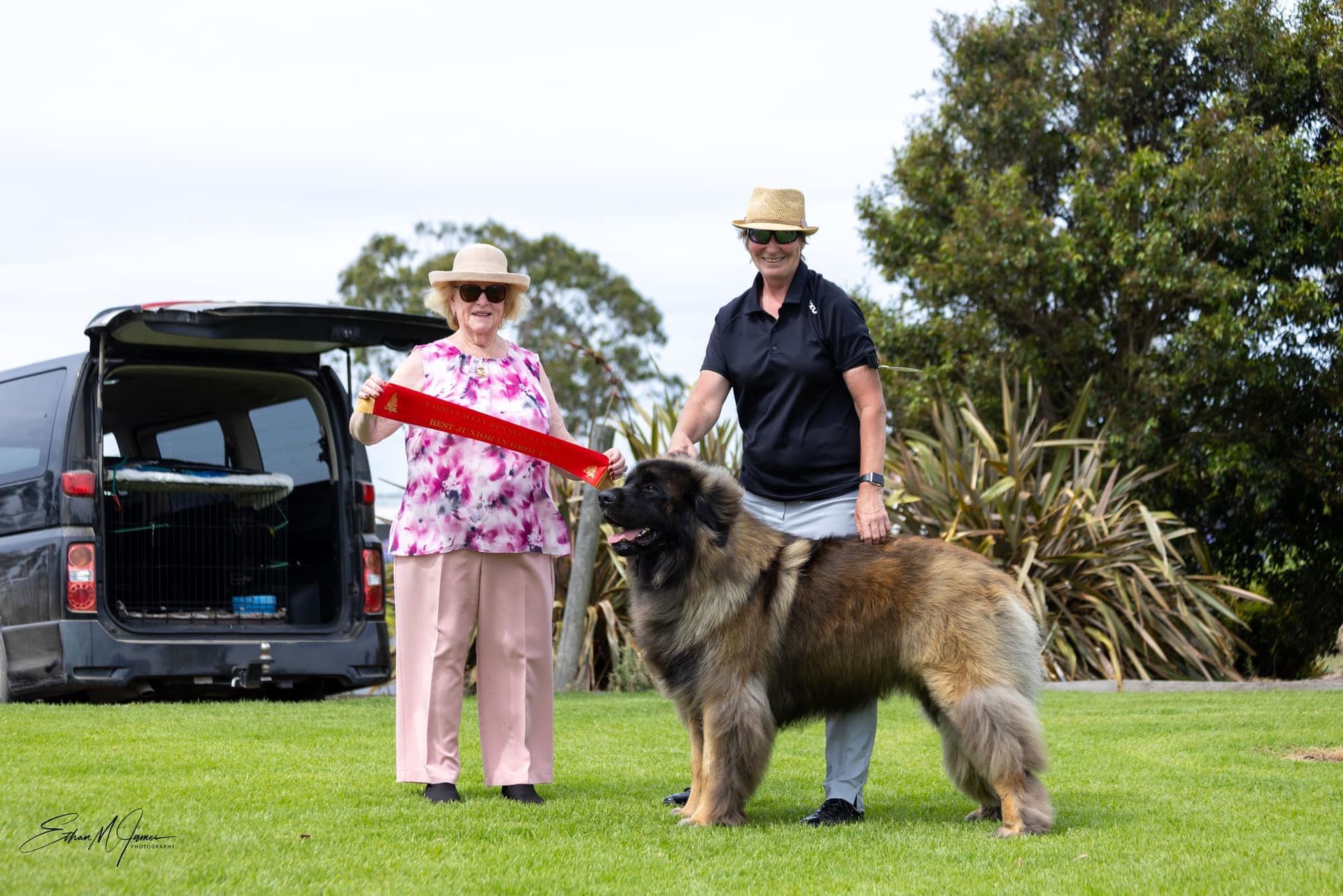 Woman and man with a large dog on a red leash in a grassy park near an open van