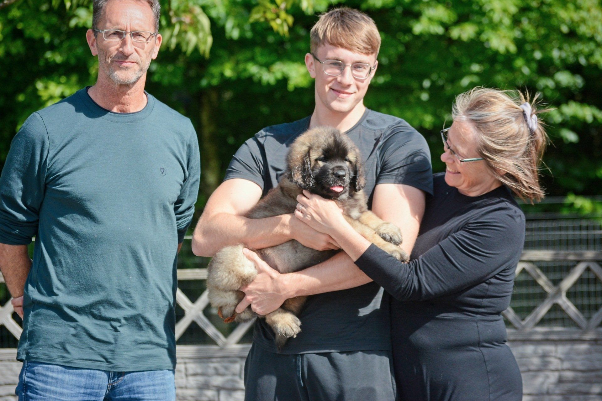 Hillhavenleonbergers leonbergers