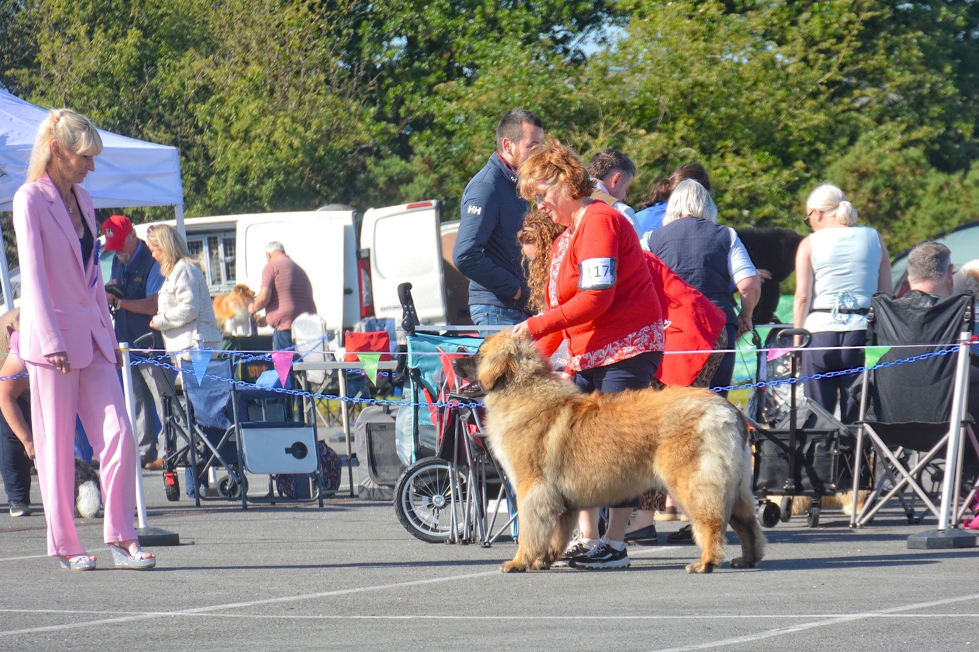 Crowd at an outdoor event with a person in red holding a large tan dog beside folding chairs