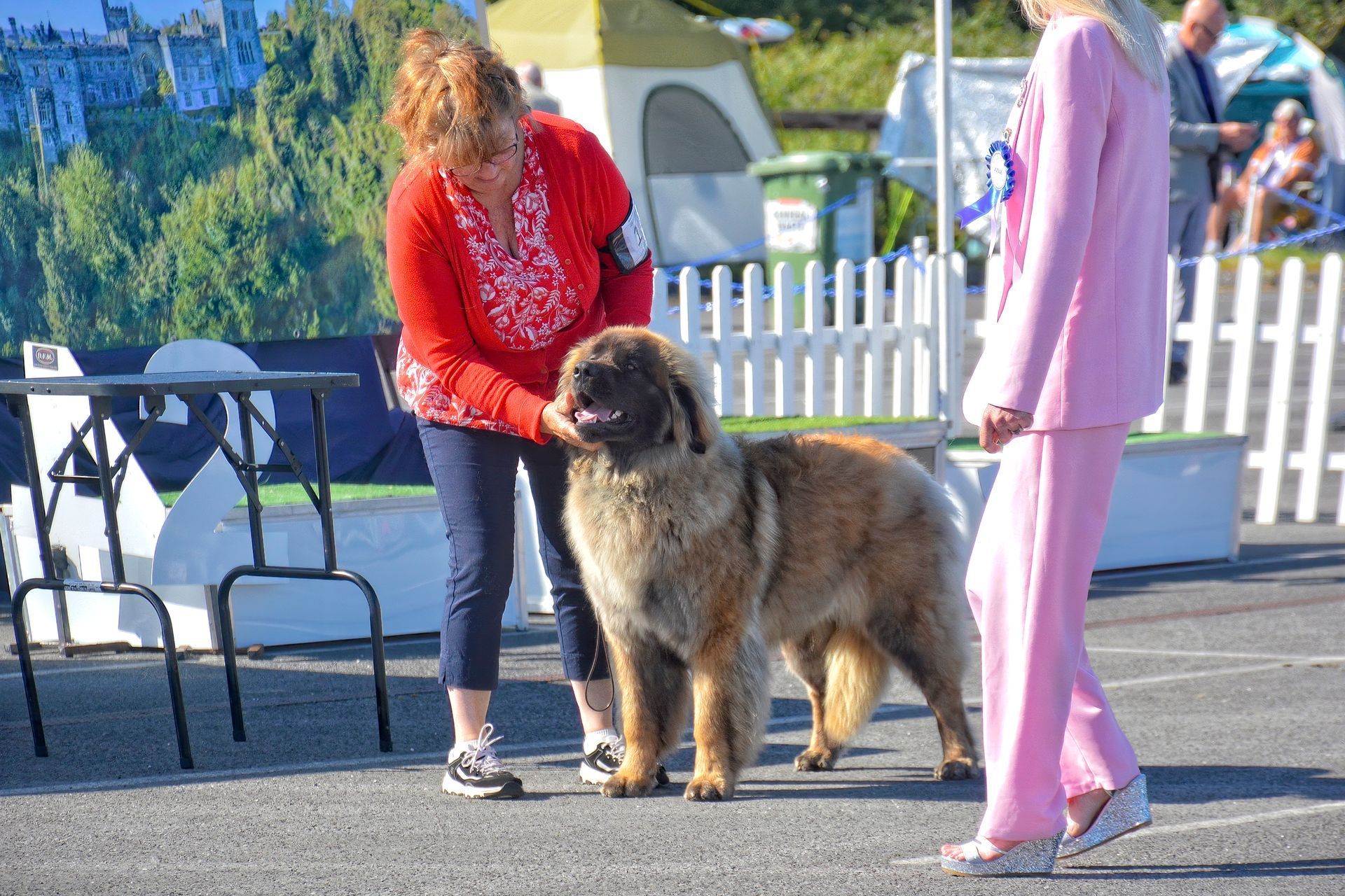 Woman in red guiding a large shaggy dog beside a person in pink, outdoors near white fencing.