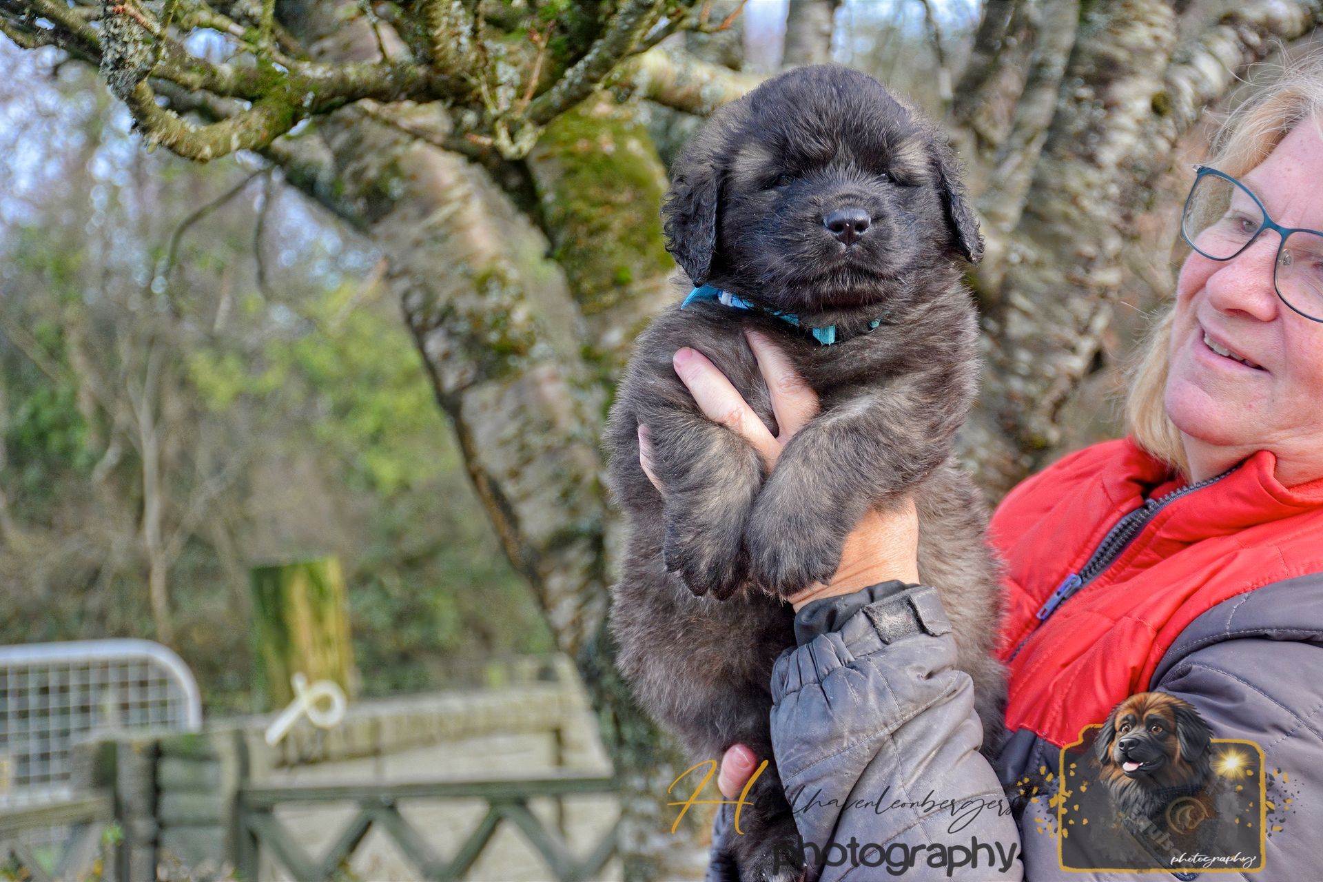 Woman holding a fluffy black puppy outdoors near a tree
