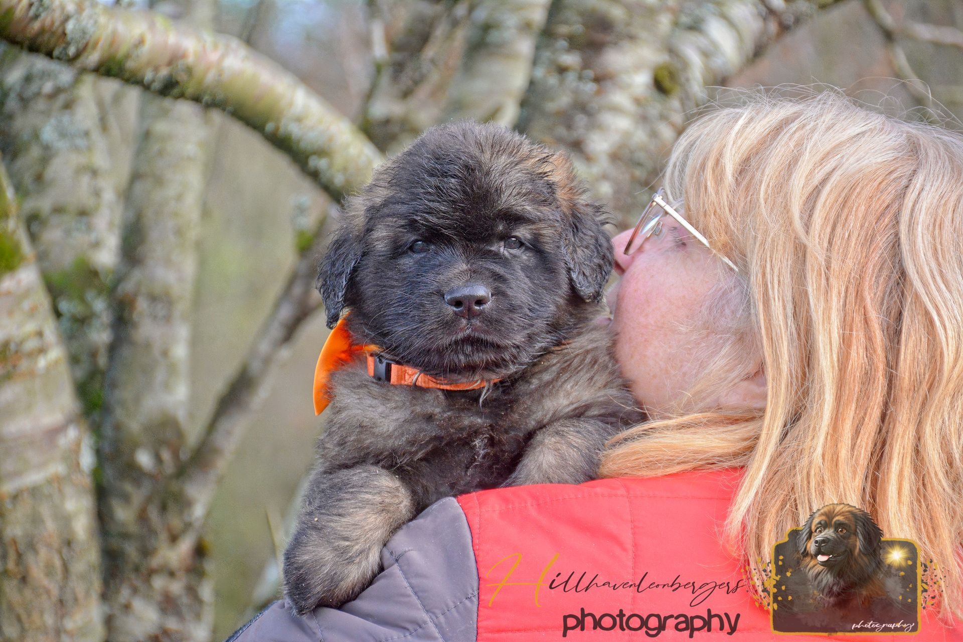 Woman kissing a fluffy black puppy, outdoors with blurred trees in the background