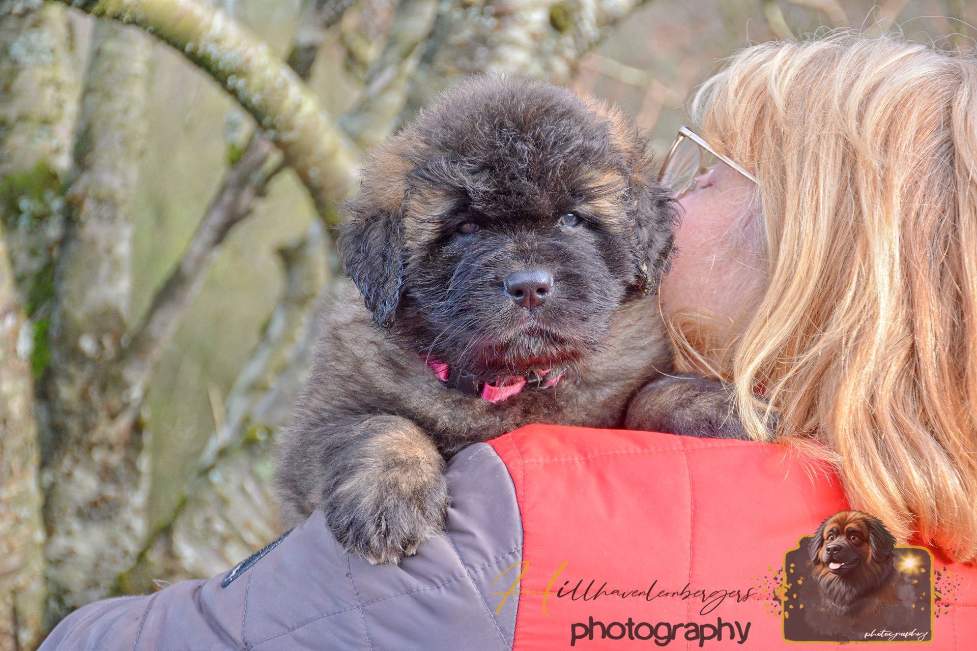 Woman holding a small black dog outdoors, both in close-up, with trees in the background.