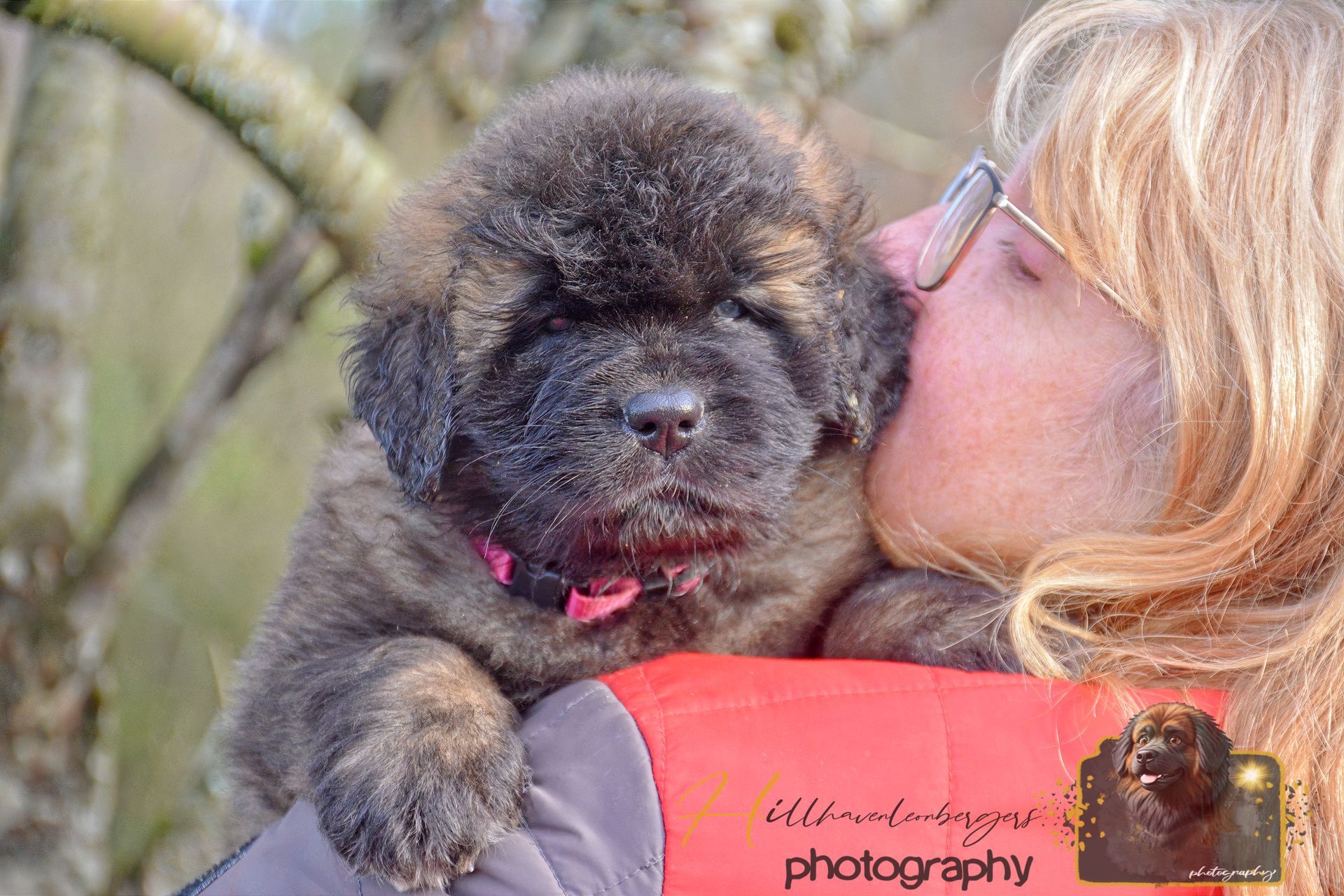 Woman kissing small black dog with pink collar outdoors