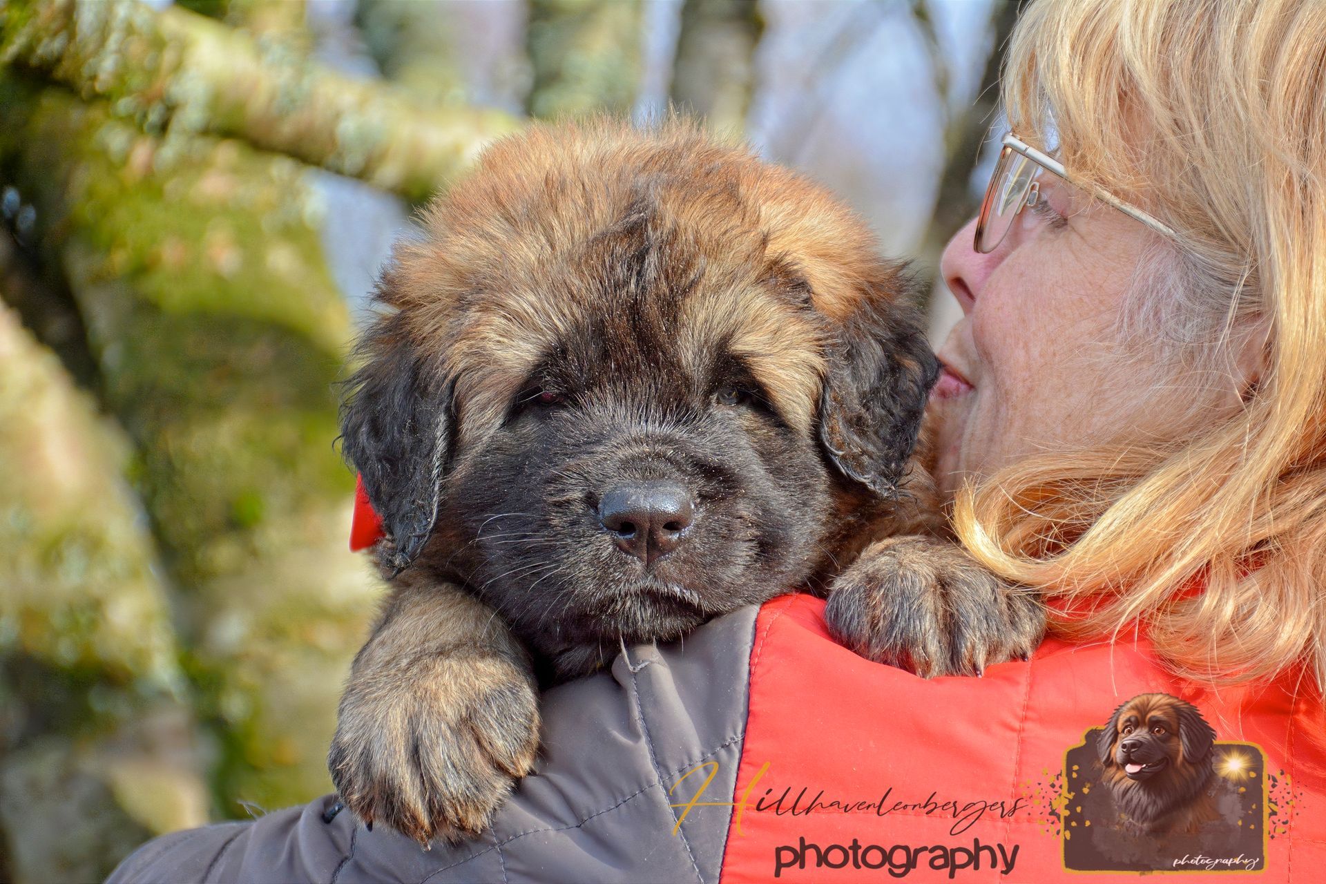 Woman holding fluffy puppy outdoors, looking at it closely