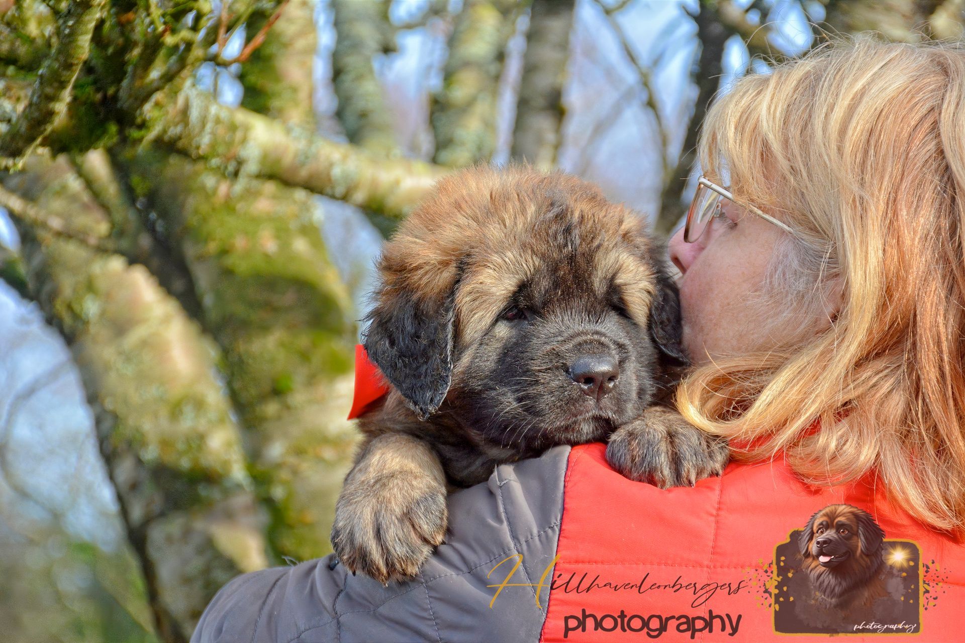 Woman holding fluffy puppy outdoors, nuzzling its face by a tree in bright sunlight