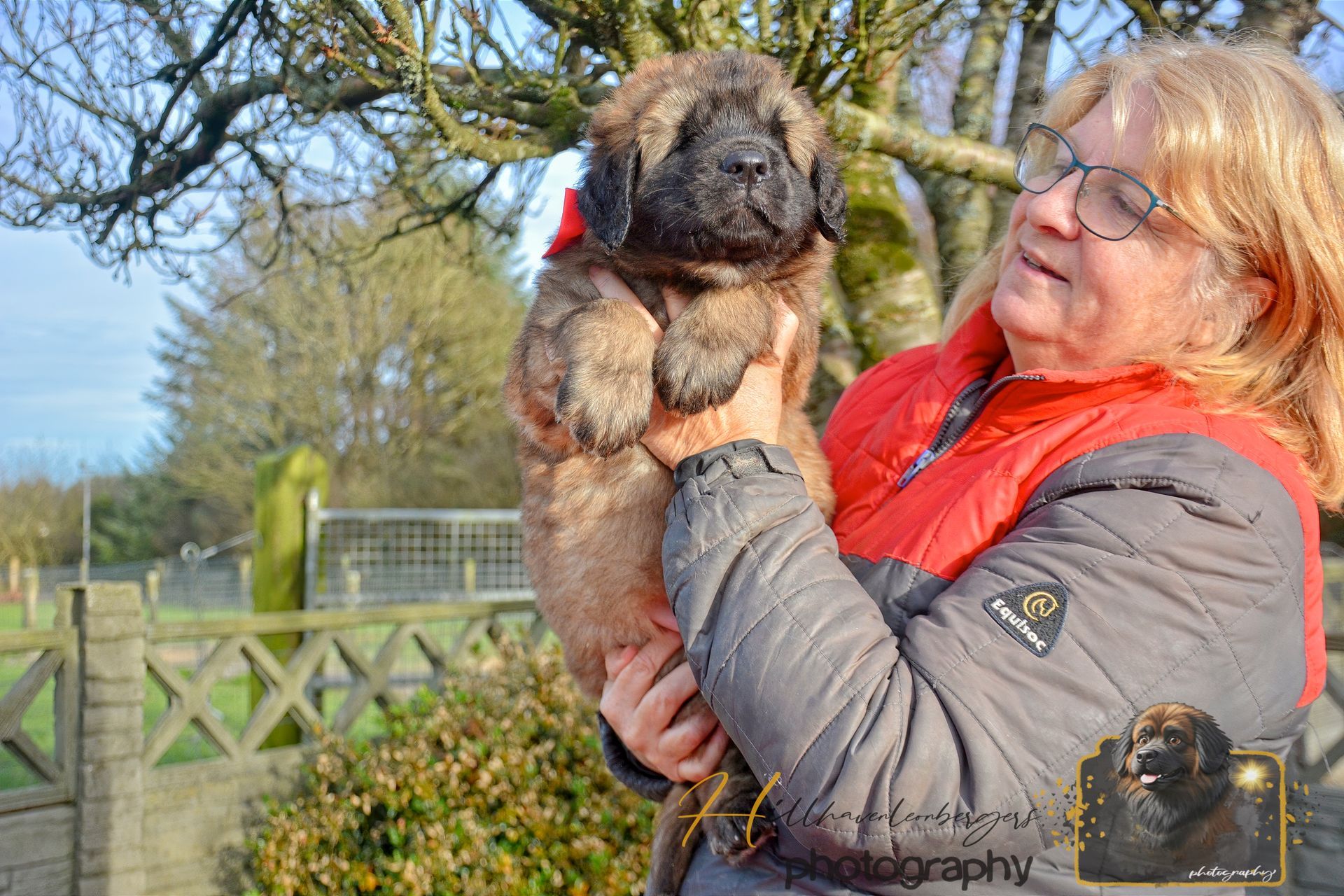 Woman holding a fluffy puppy outdoors in a sunny garden with a fence and trees