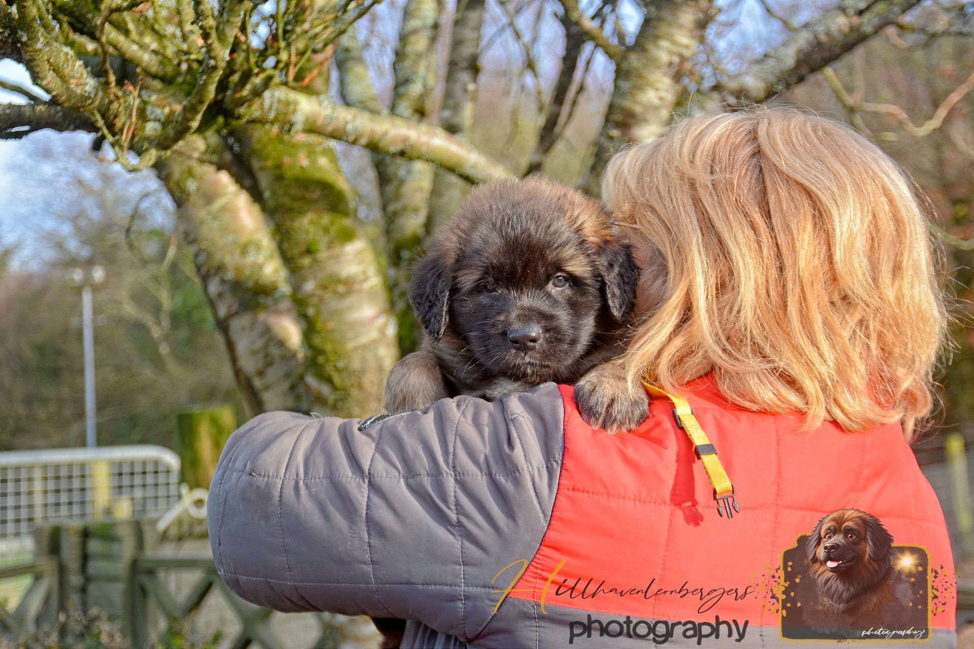 Person holding a small black dog outdoors near trees, wearing a red jacket.