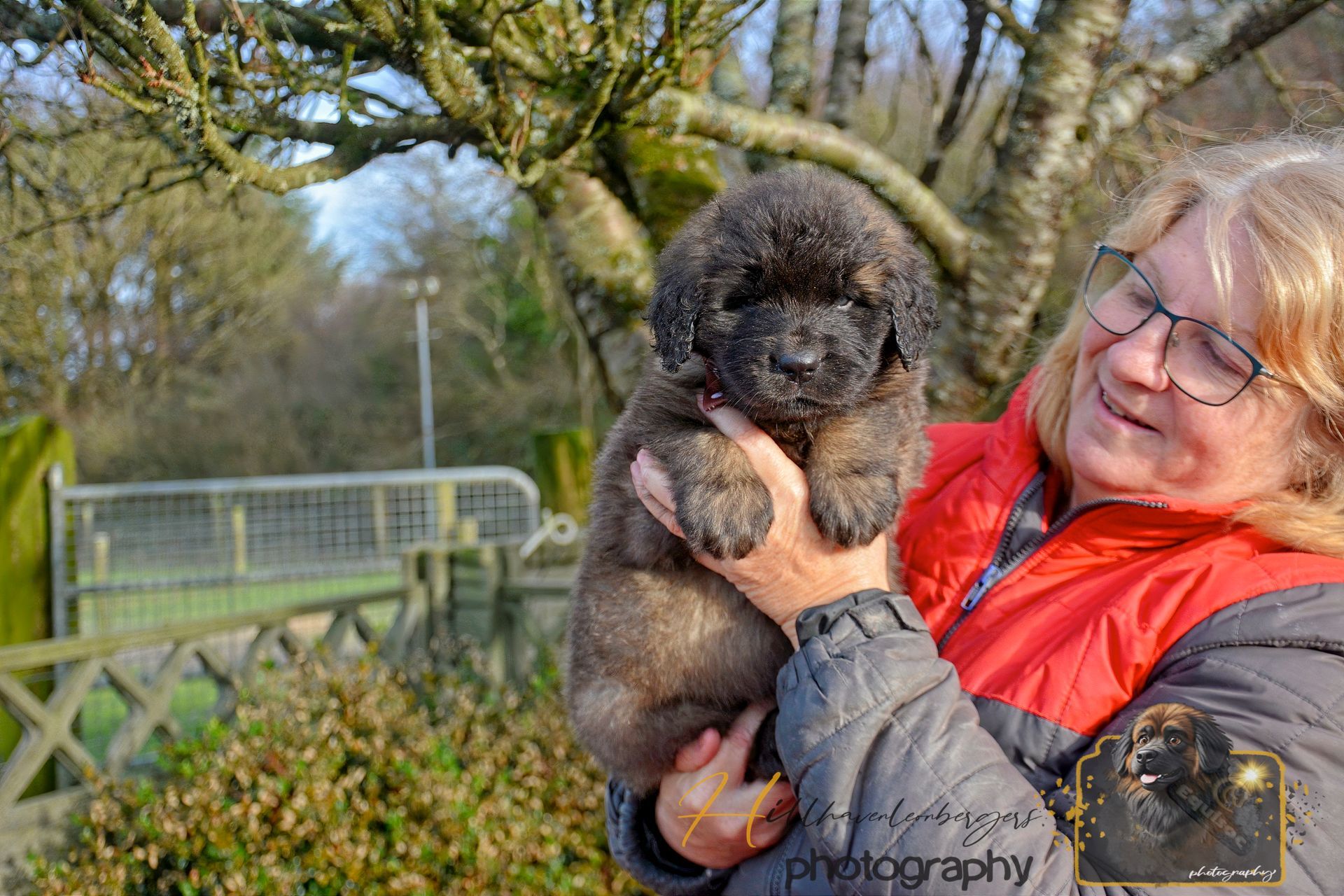 Person in orange jacket holding a fluffy black puppy outdoors near a fence and trees