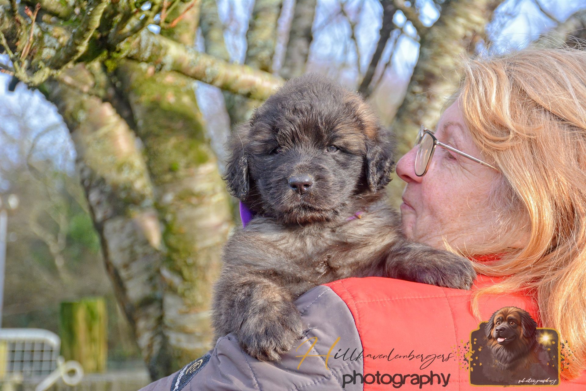 Woman in glasses holding a fluffy black puppy outdoors among trees