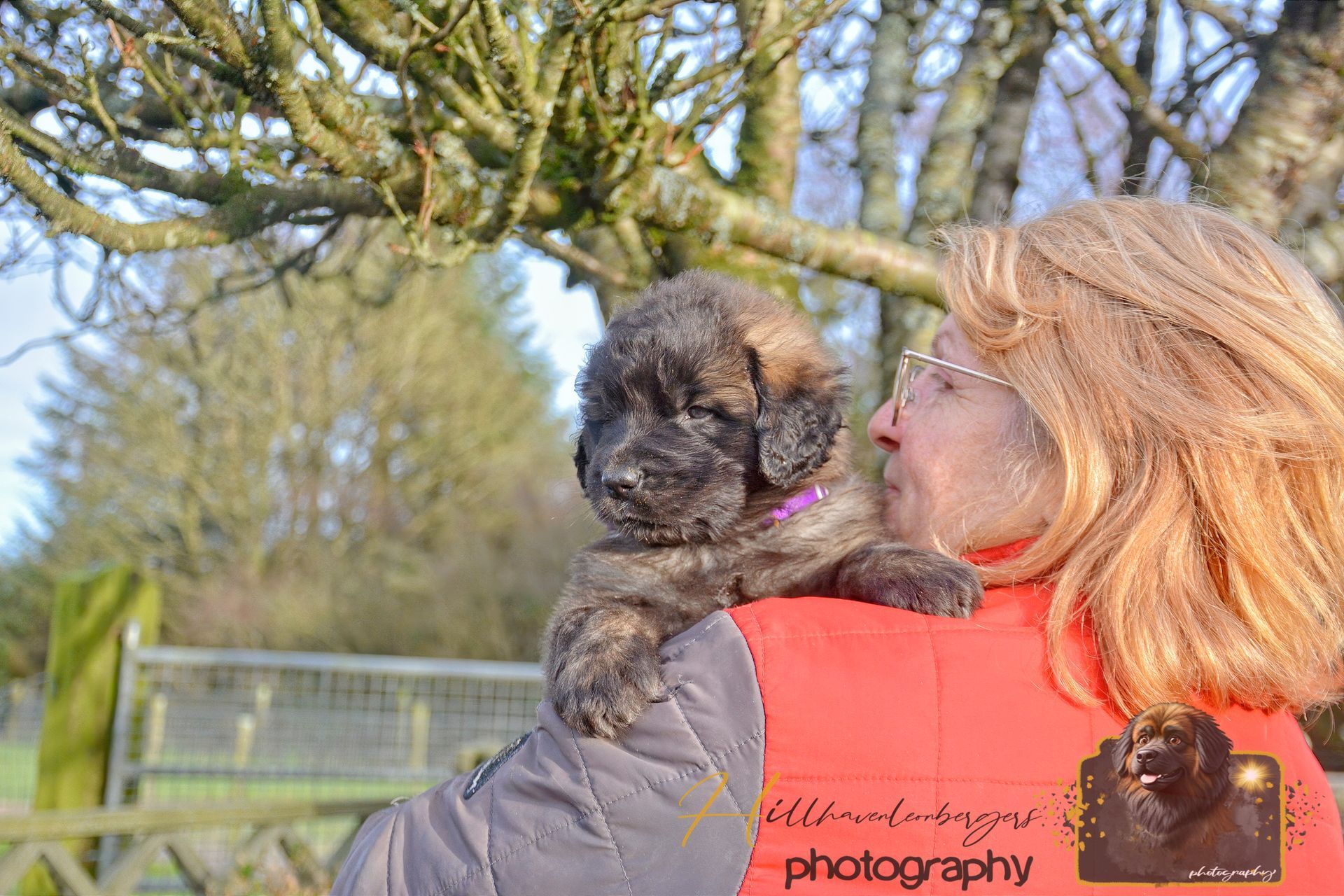 Woman in a red jacket holding a small black dog outdoors by a fence and trees