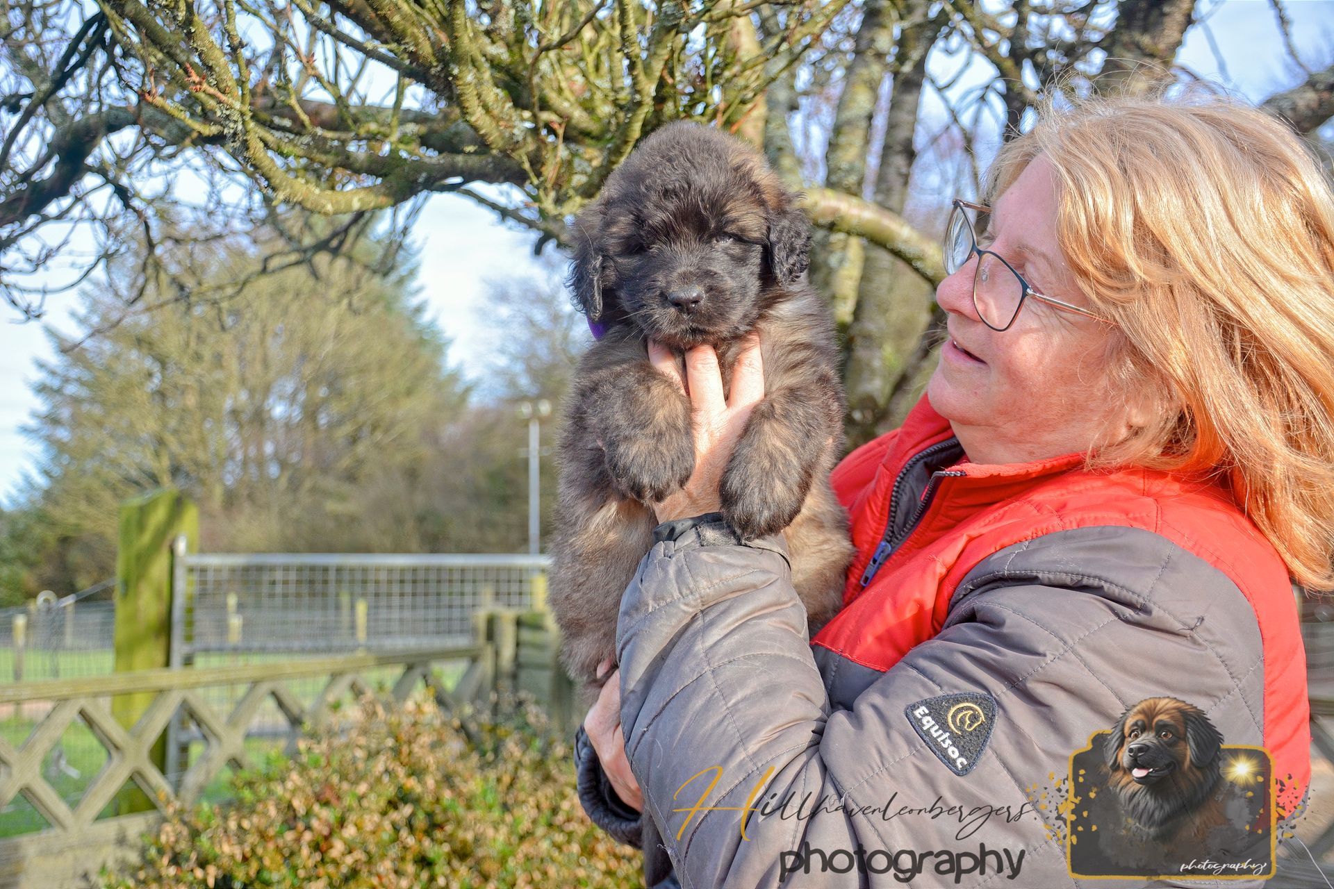 Woman in red coat holding a small curly puppy outdoors by a wooden fence and trees.