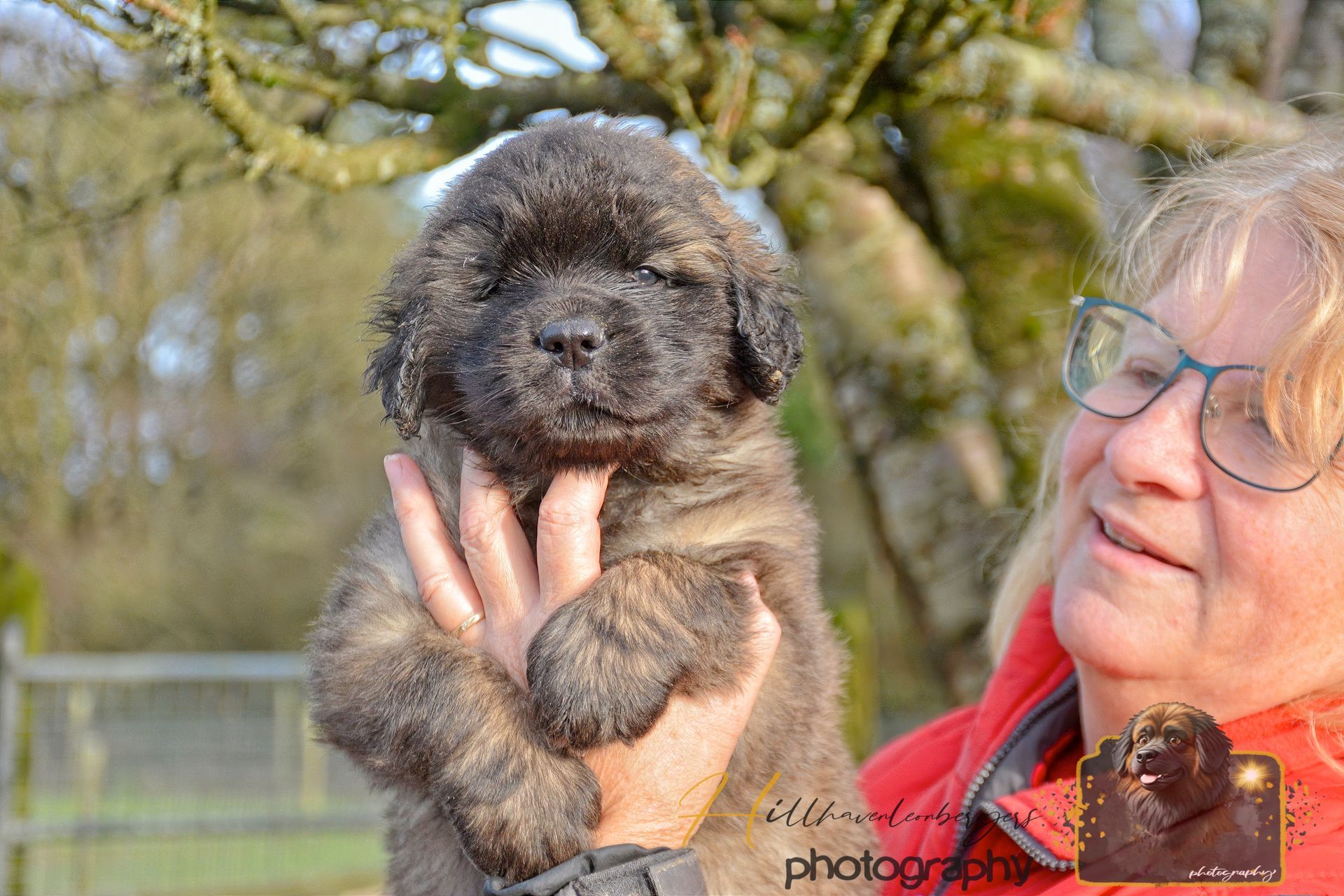 Woman holding a fluffy puppy outdoors in sunlight