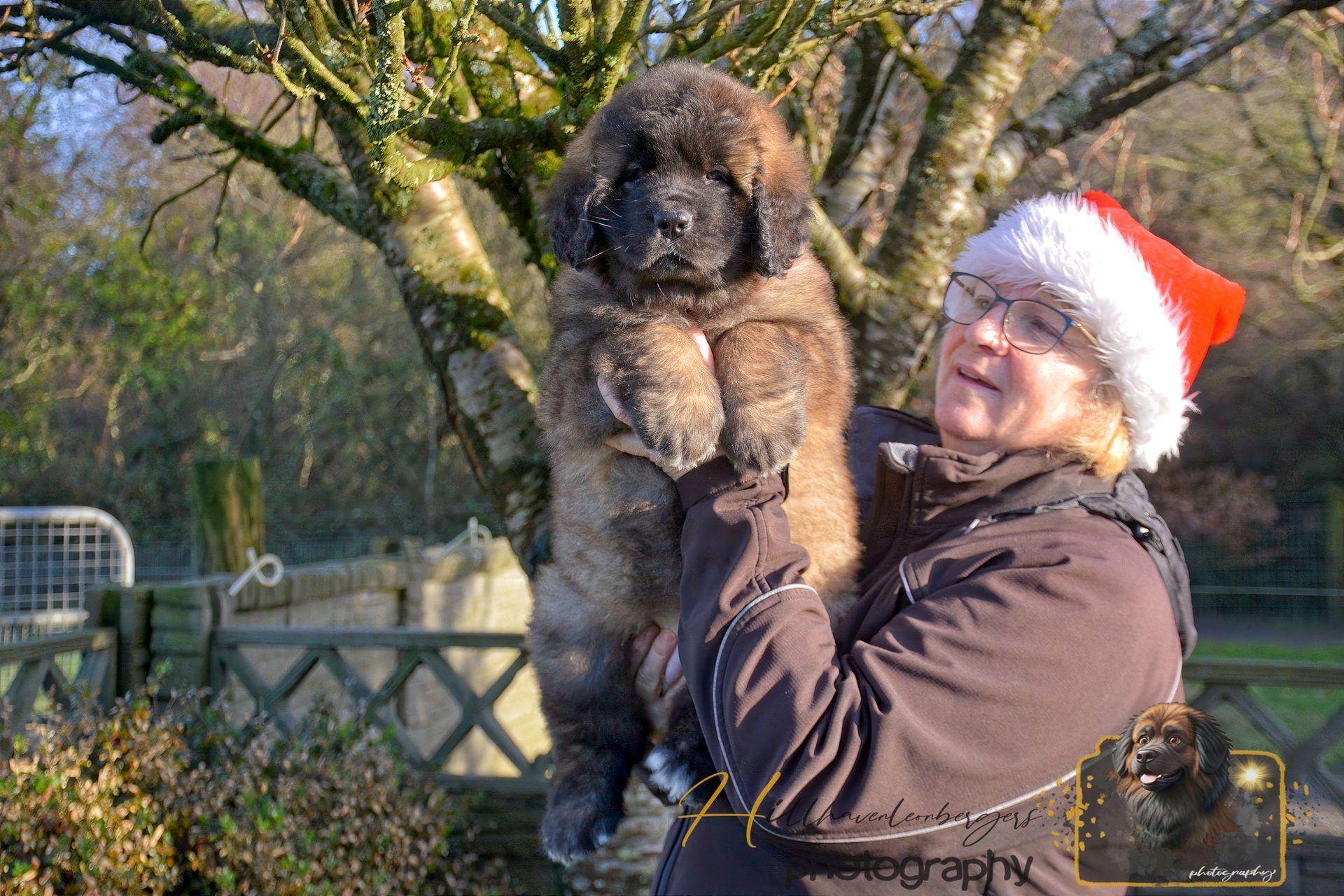 Person in a Santa hat holding a fluffy black dog outdoors by a tree and fence