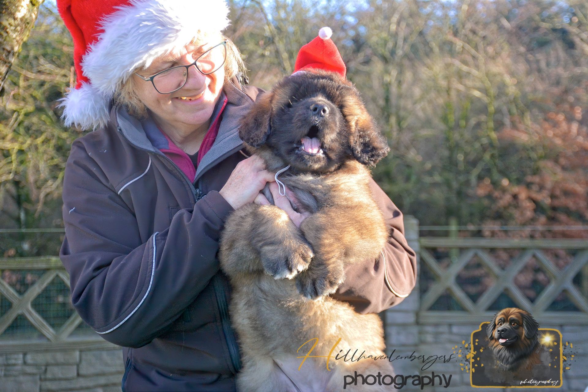 Person in a Santa hat holding a fluffy dog outdoors in a wintery garden