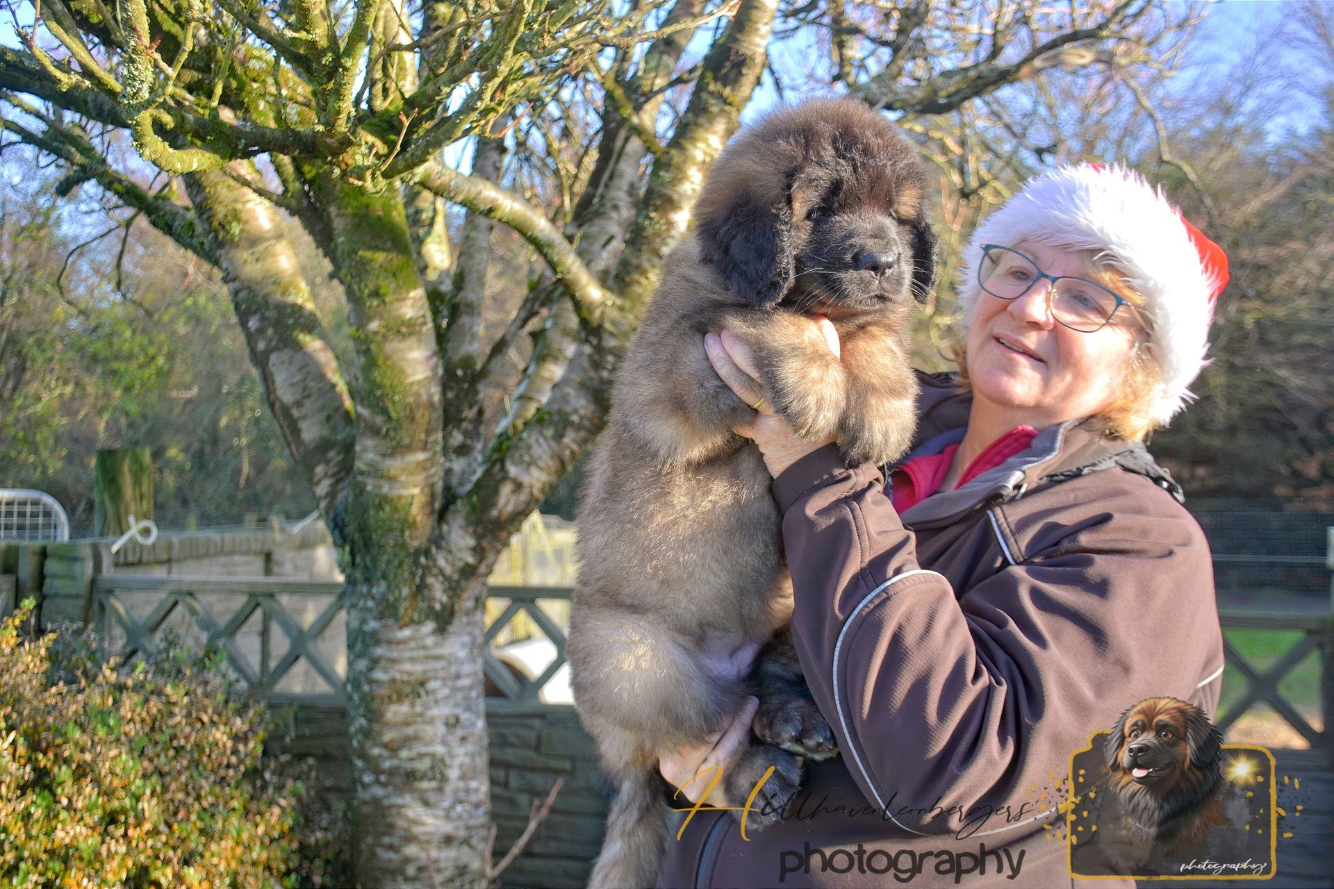 Smiling person in a Santa hat holding a fluffy puppy outdoors by a tree and fence