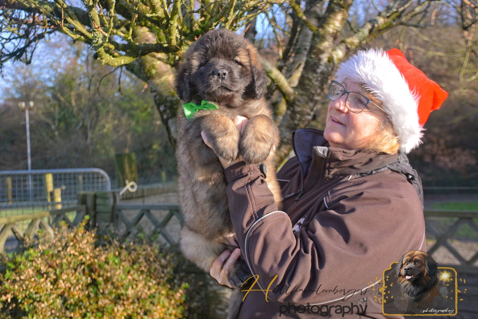 Person in a Santa hat holding a fluffy dog outdoors in winter sunlight