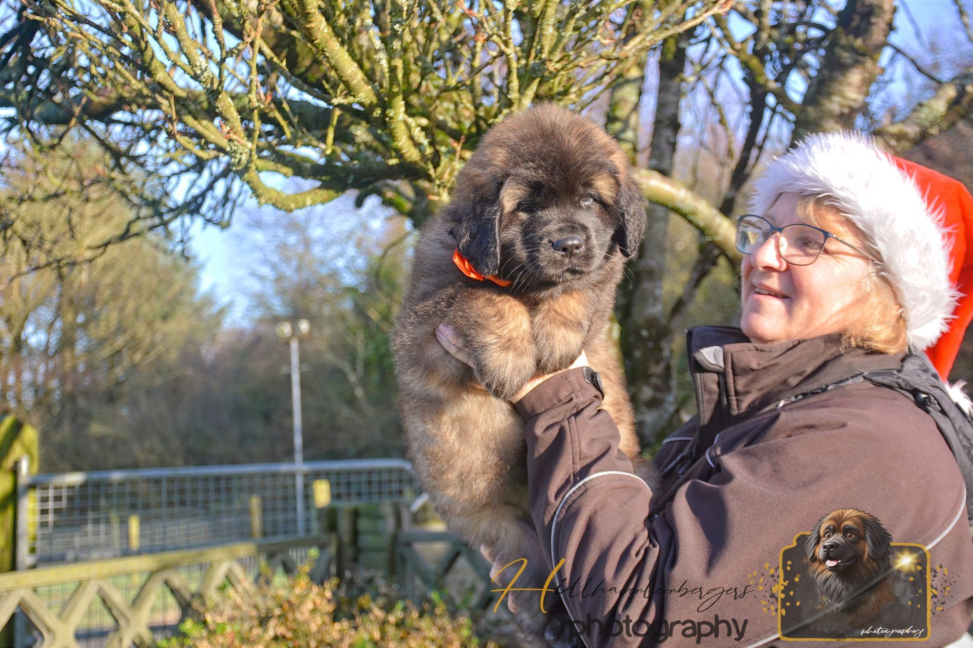 Person in Santa hat holding a fluffy dog outdoors in a sunny park
