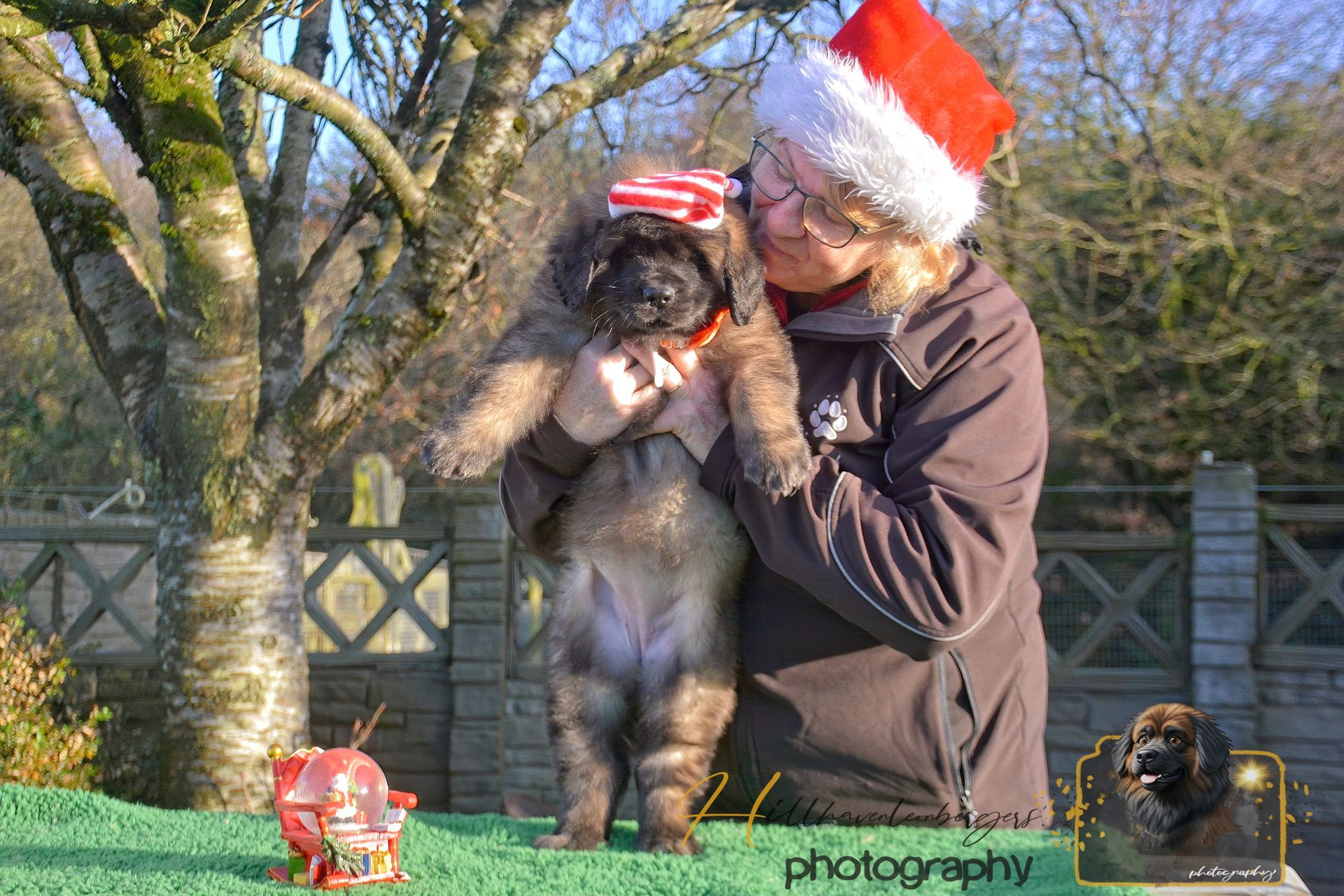 Person in Santa hat holding a small dog outdoors on a sunny day, with two wrapped gifts on the table