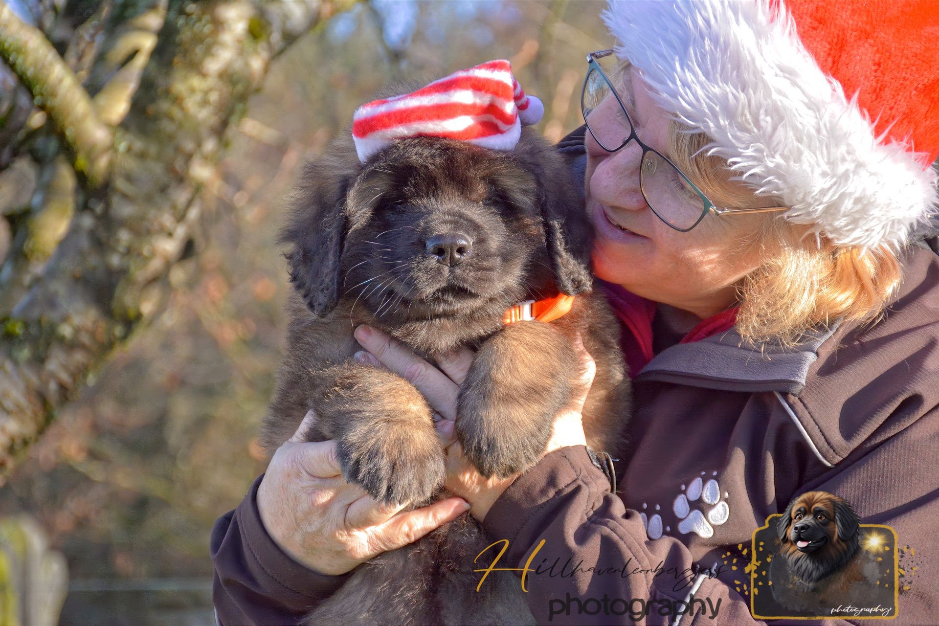 Person in Santa hat kissing a fluffy dog outdoors in winter sunlight