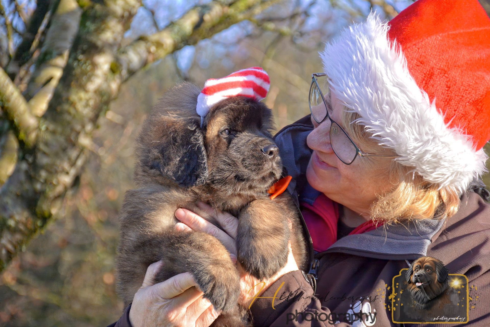 Person in Santa hat holding a small dog in a red-and-white hat outdoors