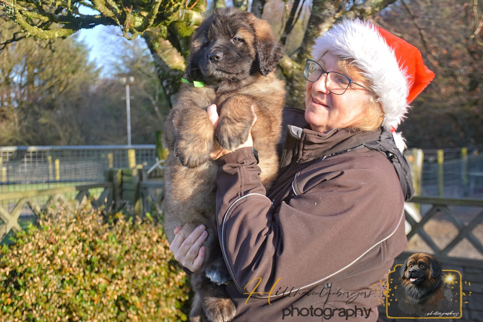 Person in Santa hat holding a fluffy puppy outdoors in sunlight
