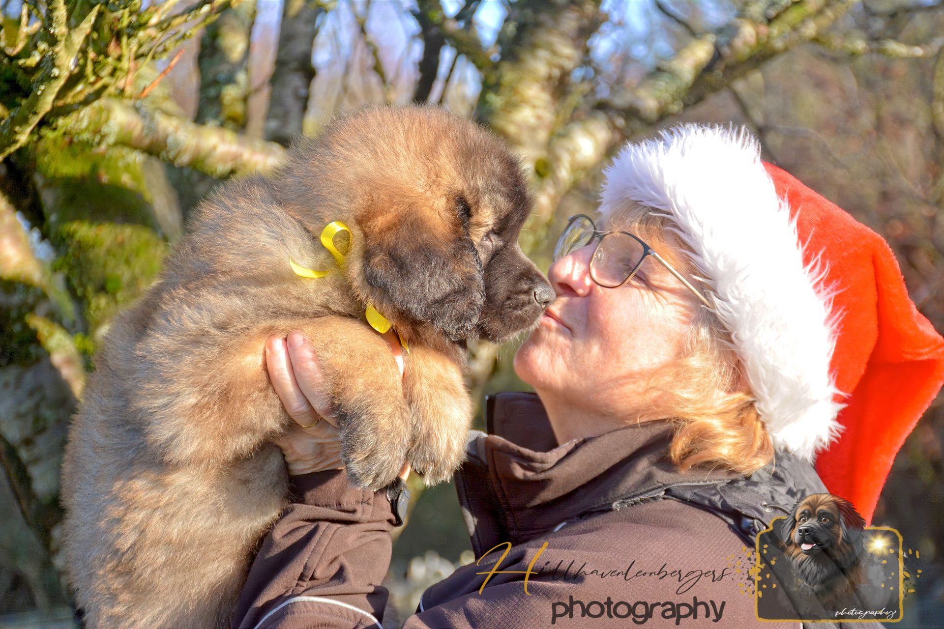 Woman in Santa hat kissing a fluffy puppy outdoors in sunlight