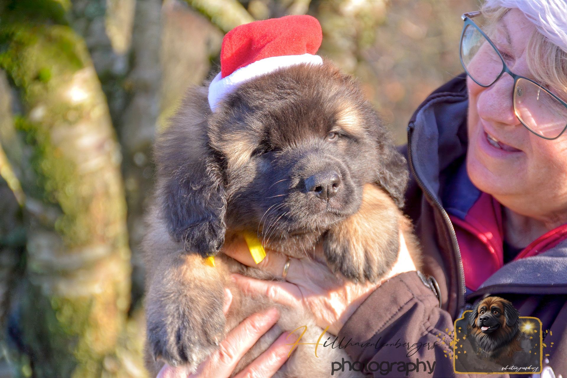 Person holding a fluffy puppy in a Santa hat outdoors