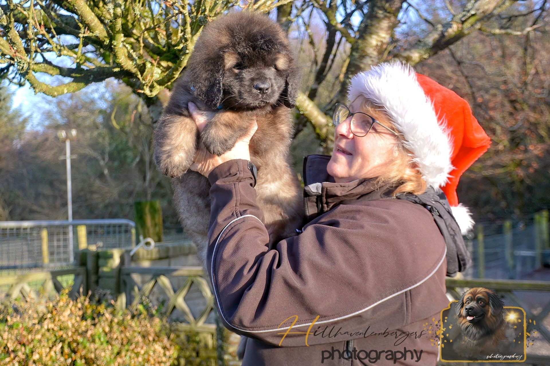 Person in a Santa hat holding up a fluffy black puppy outdoors in sunlight