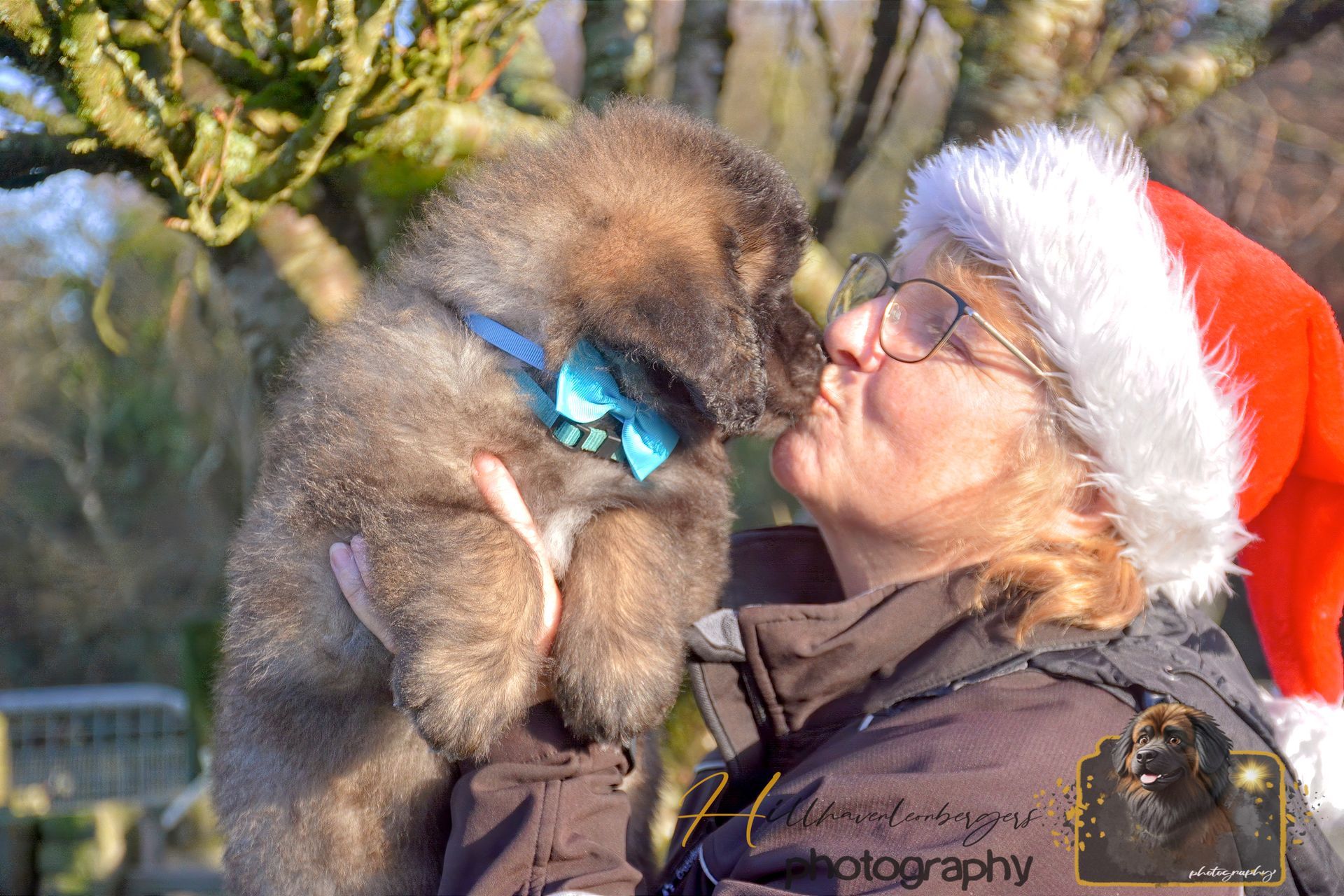 Woman in a Santa hat kissing a fluffy puppy outdoors in winter sunlight