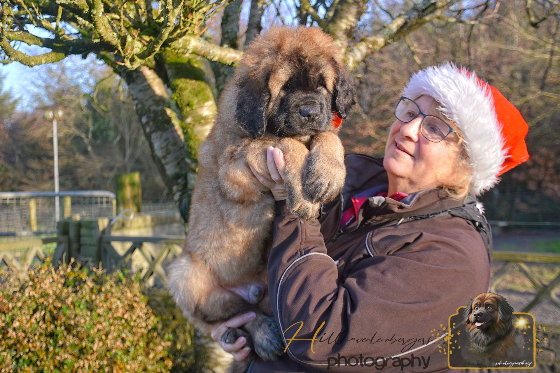 Woman in a Santa hat holding a fluffy puppy outdoors in a sunny garden