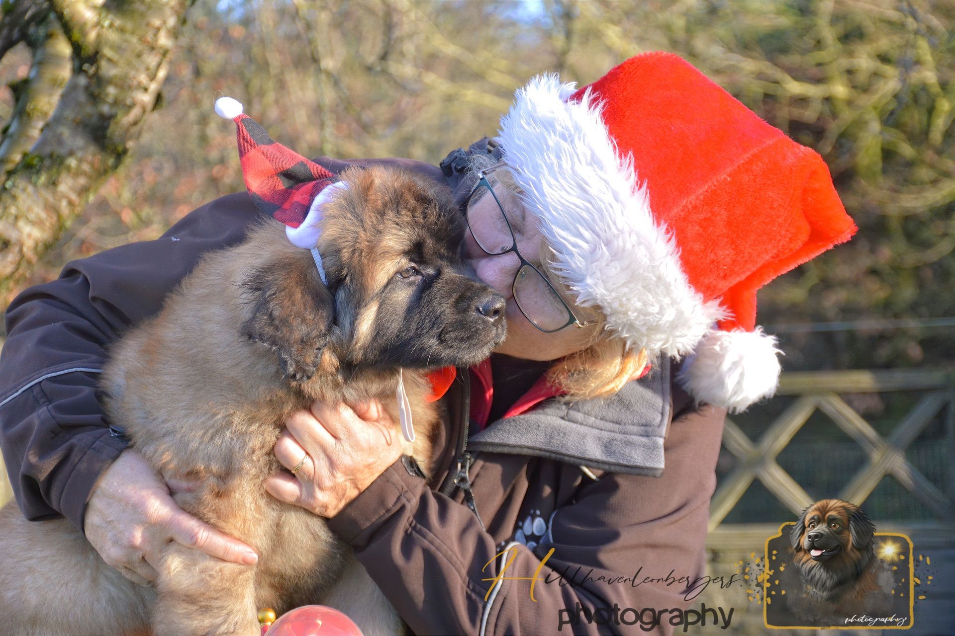 Person in a Santa hat cuddling a puppy outdoors in winter sunlight