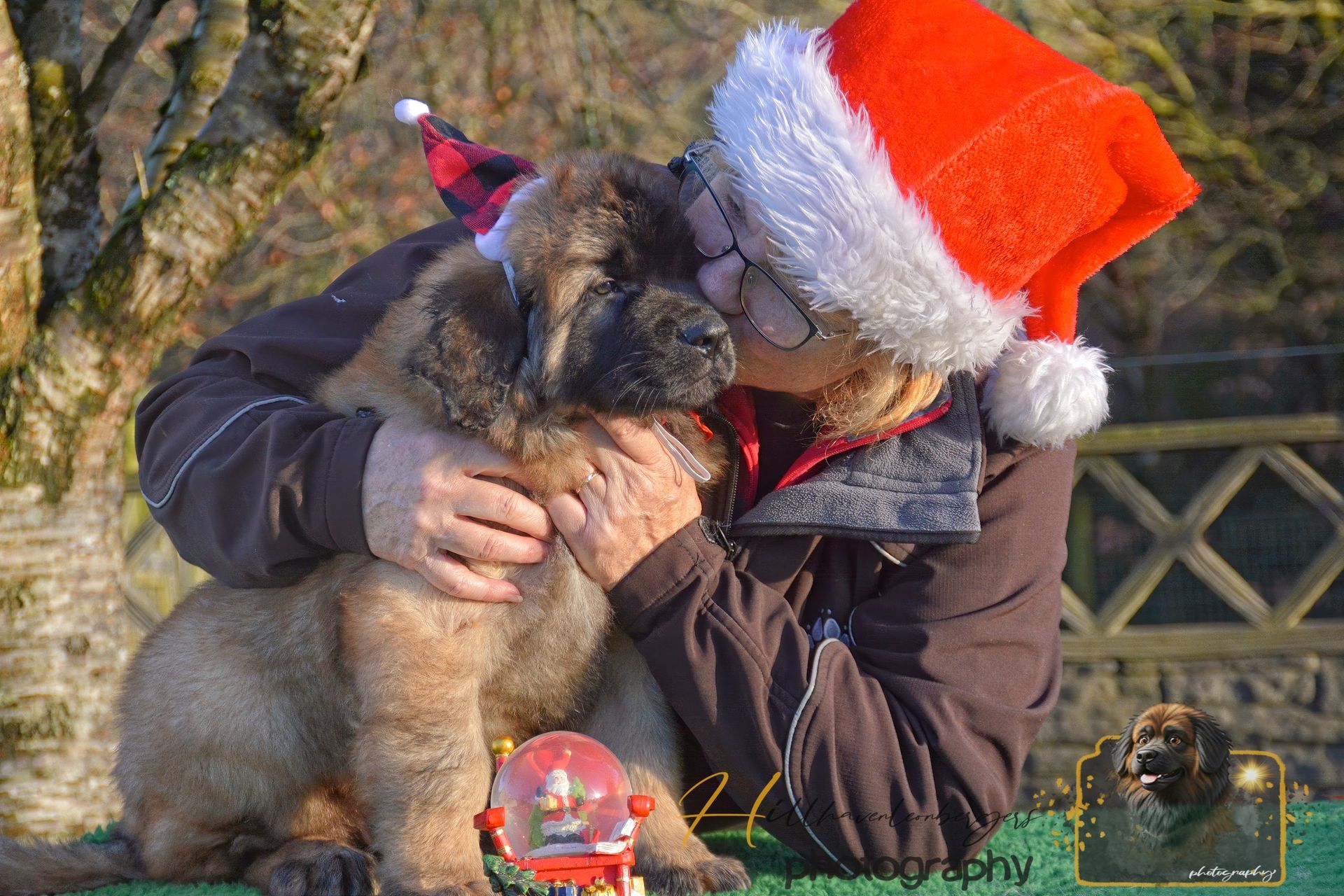 Person in a Santa hat hugging a fluffy dog outdoors