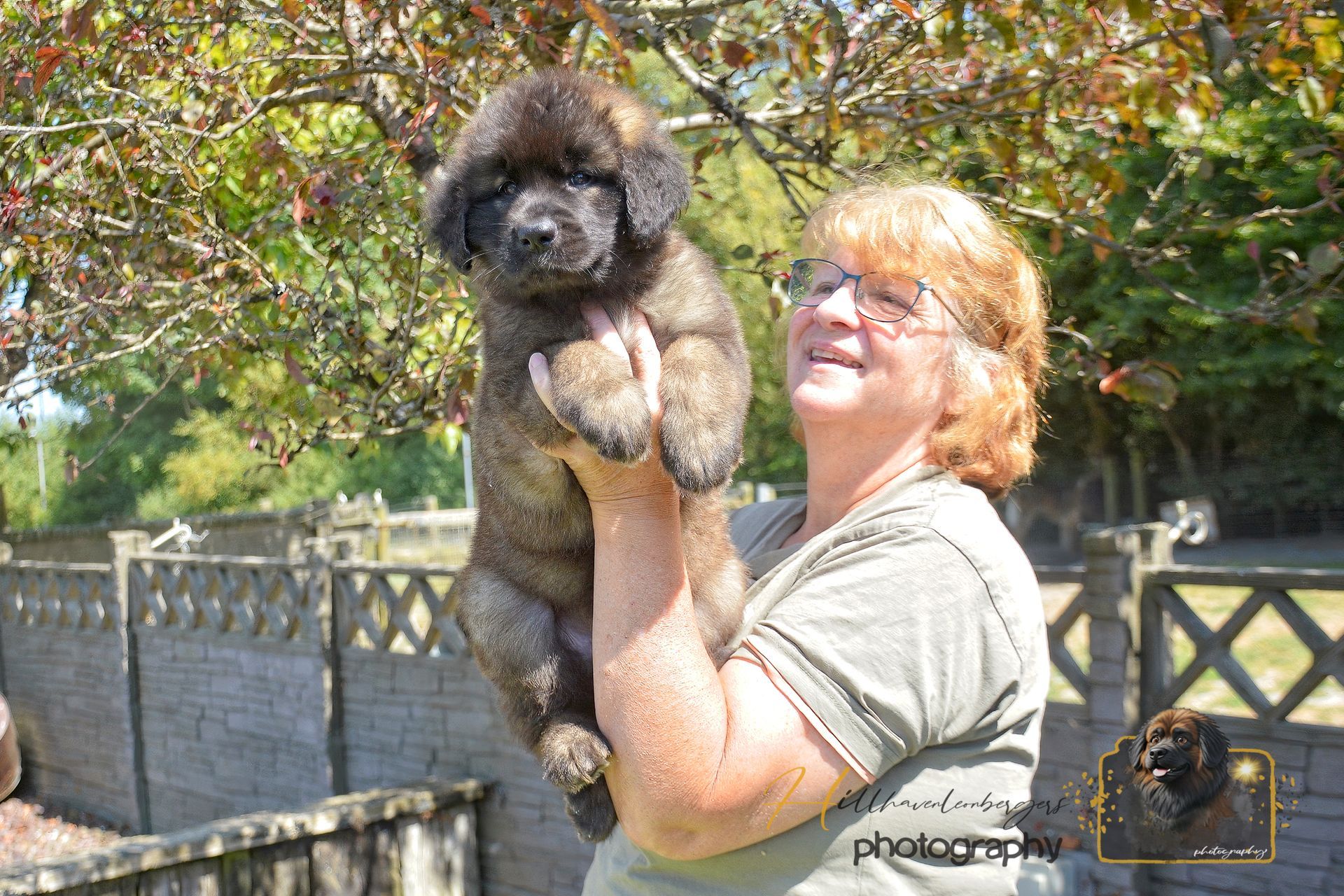 Woman holding a fluffy black dog outdoors near a stone wall and trees, smiling in sunlight