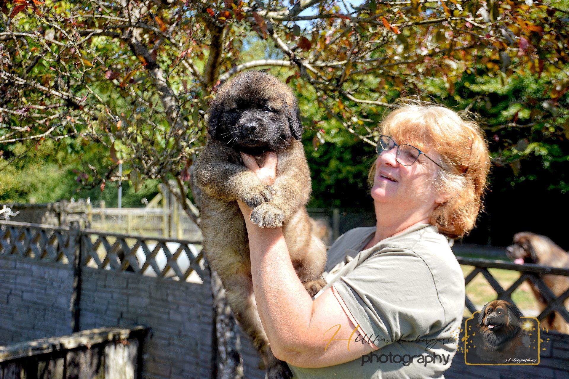 Woman holding a fluffy black-and-tan puppy outdoors by a fence and trees, both facing the camera