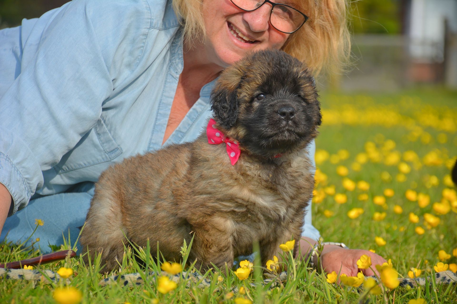 Woman in a field petting a fluffy brown dog with a pink collar among yellow flowers