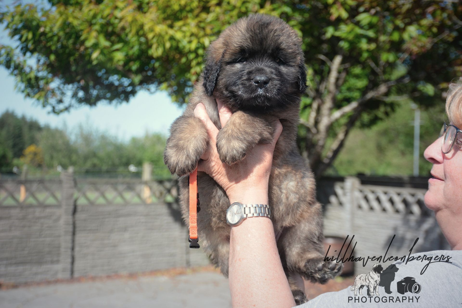 Small fluffy puppy being held up outdoors with trees in the background