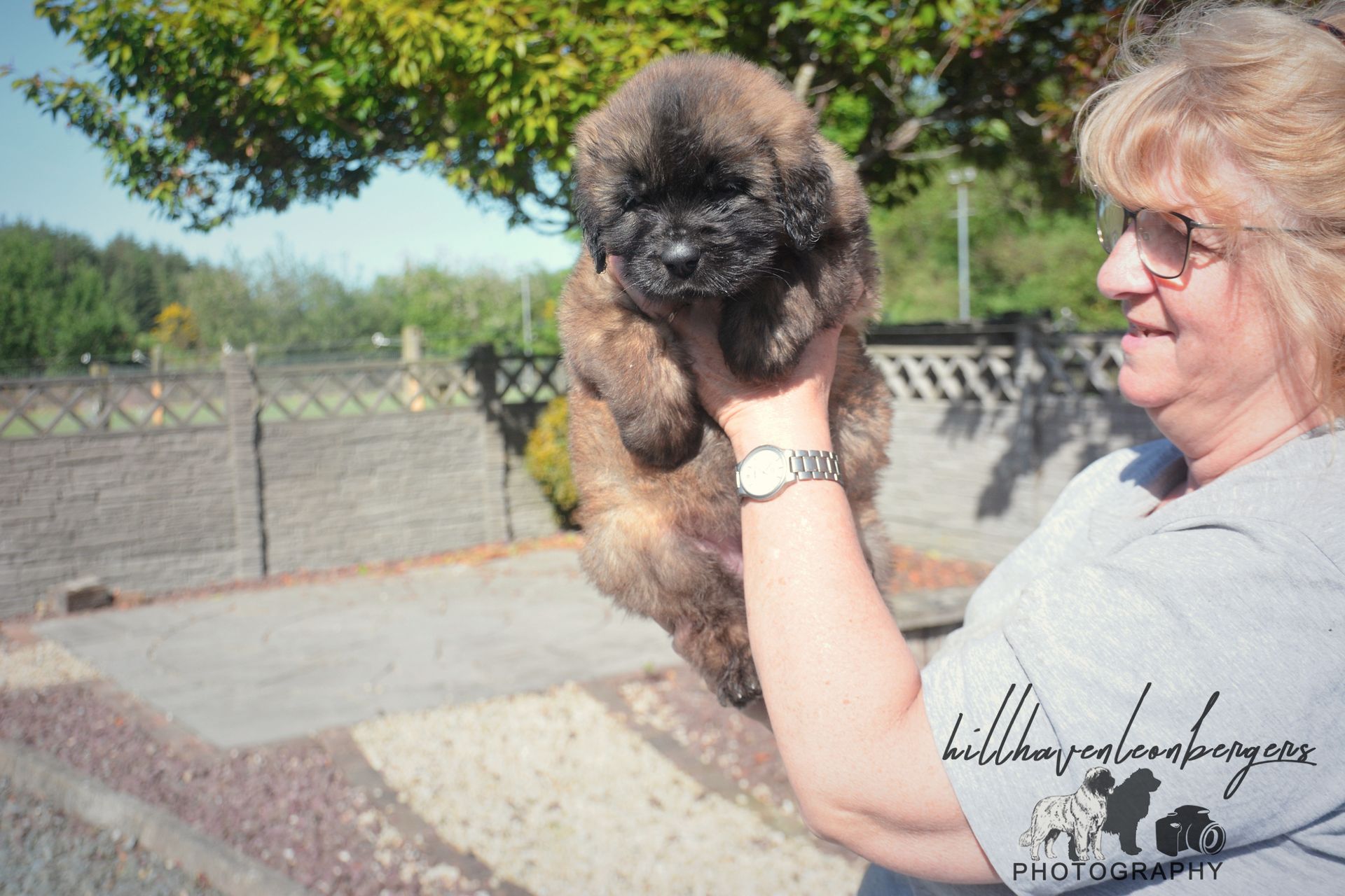 Woman holding up a fluffy brown puppy outdoors in a sunny yard