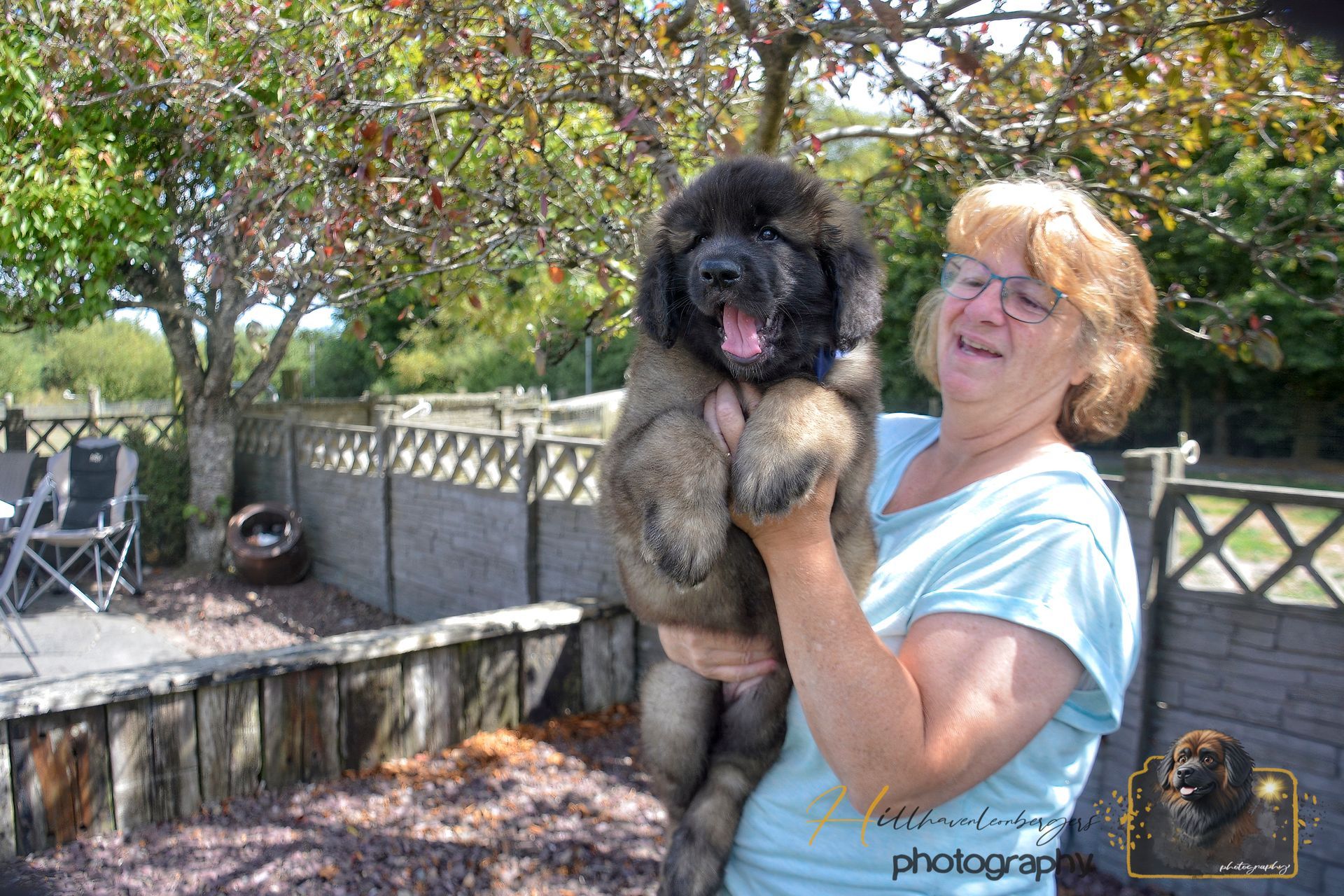 Woman holding a fluffy black dog outdoors in a sunny backyard