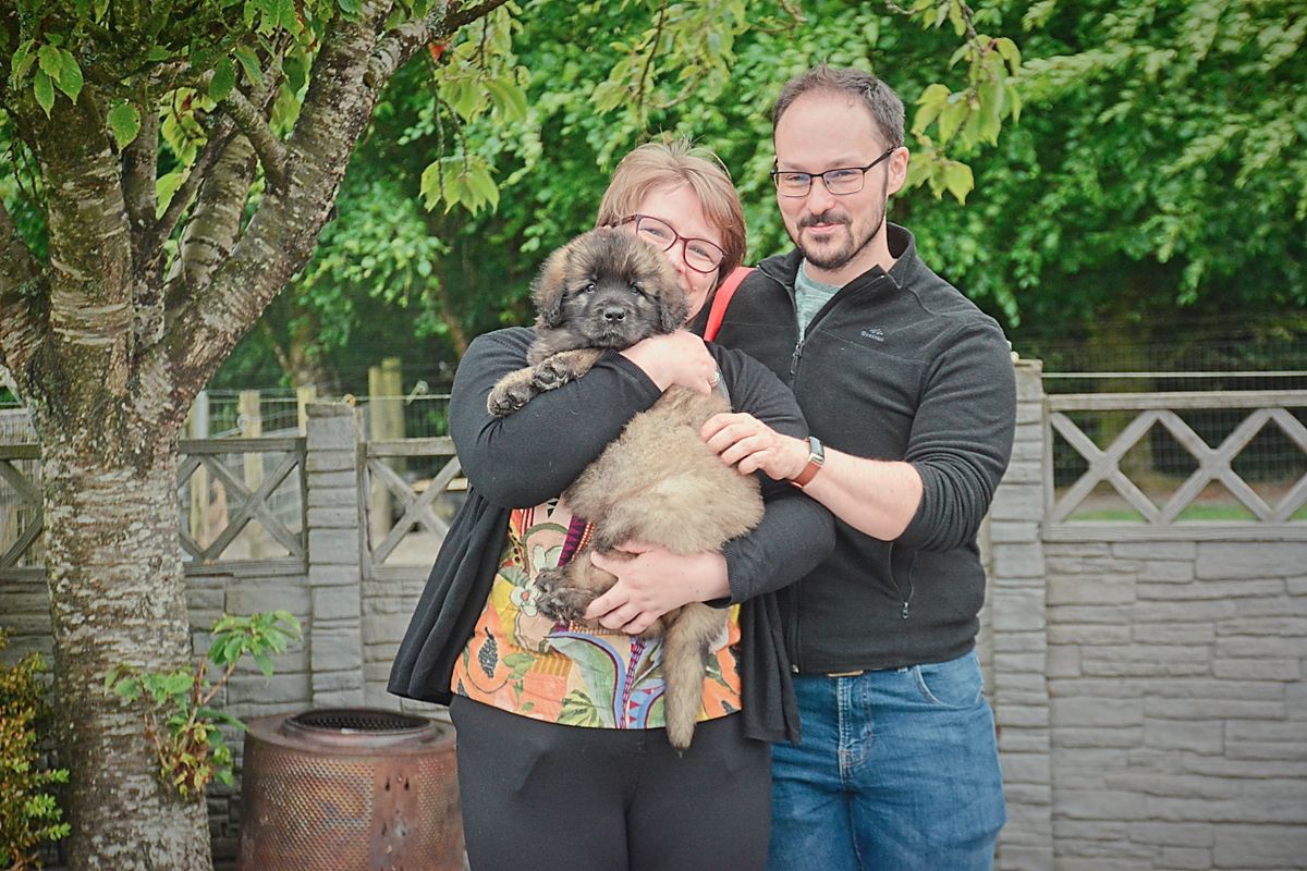 Two adults holding a small curly-haired dog in a leafy garden beside a gray fence.