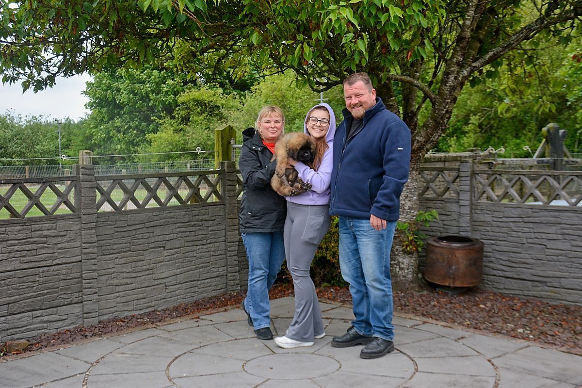 Three people posing together on a stone patio beside a leafy tree and gray wall