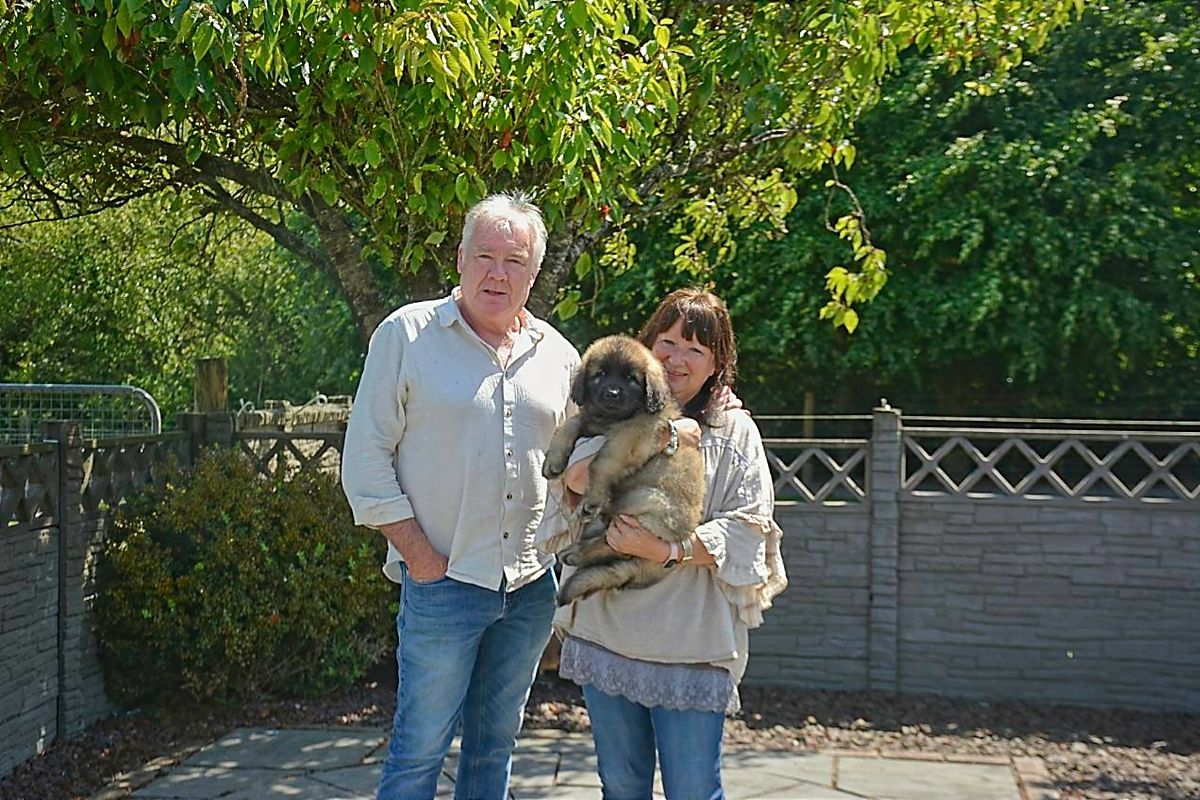 Two people holding a small dog in a sunny backyard with a fence and trees