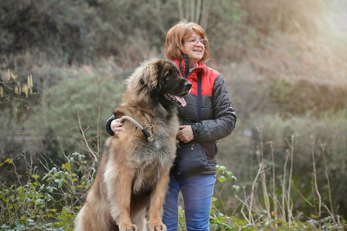 Woman in a red scarf hugs a large dog outdoors in a grassy field.