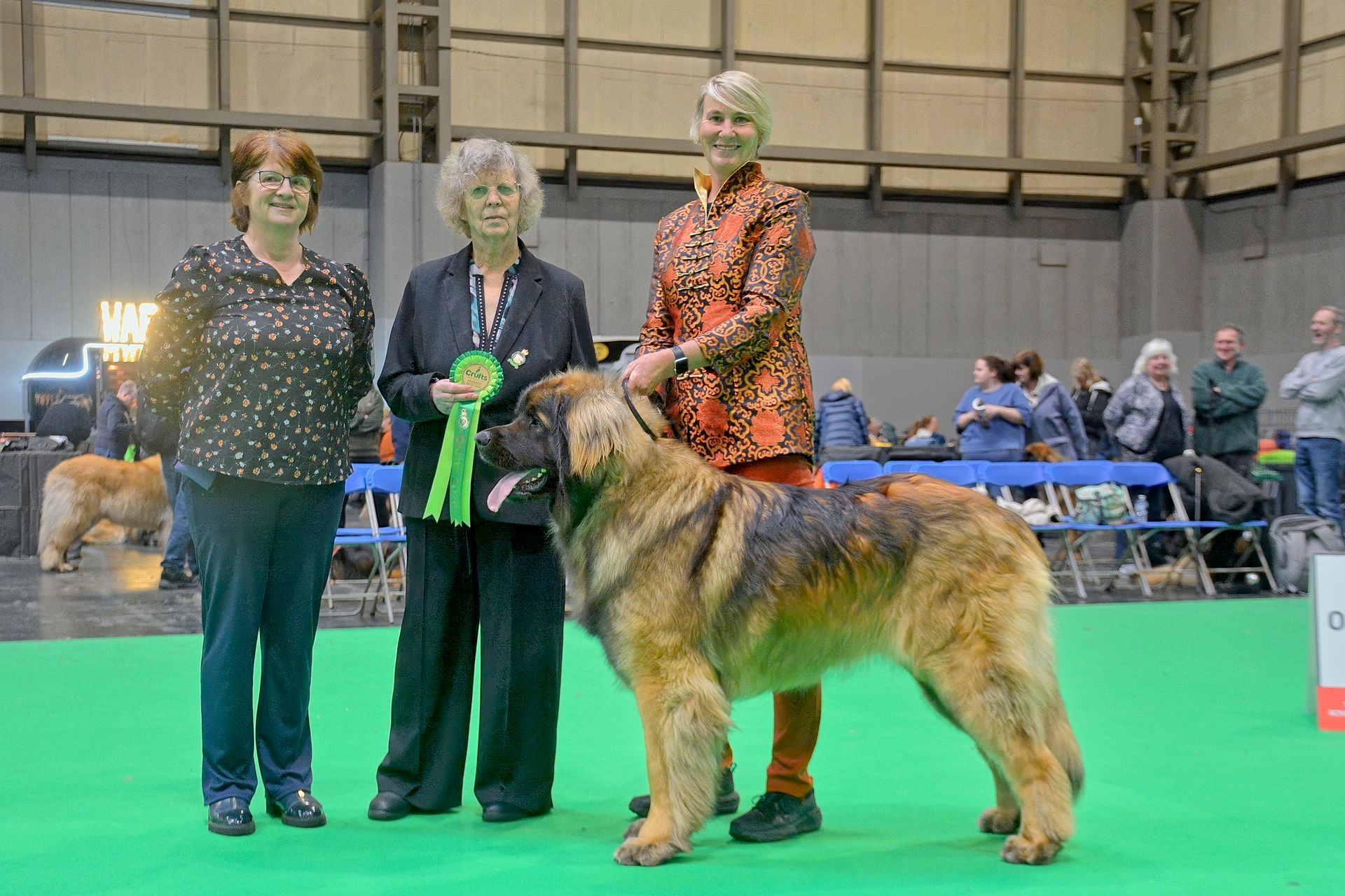 Three women posing with a large dog at a dog show on a green floor