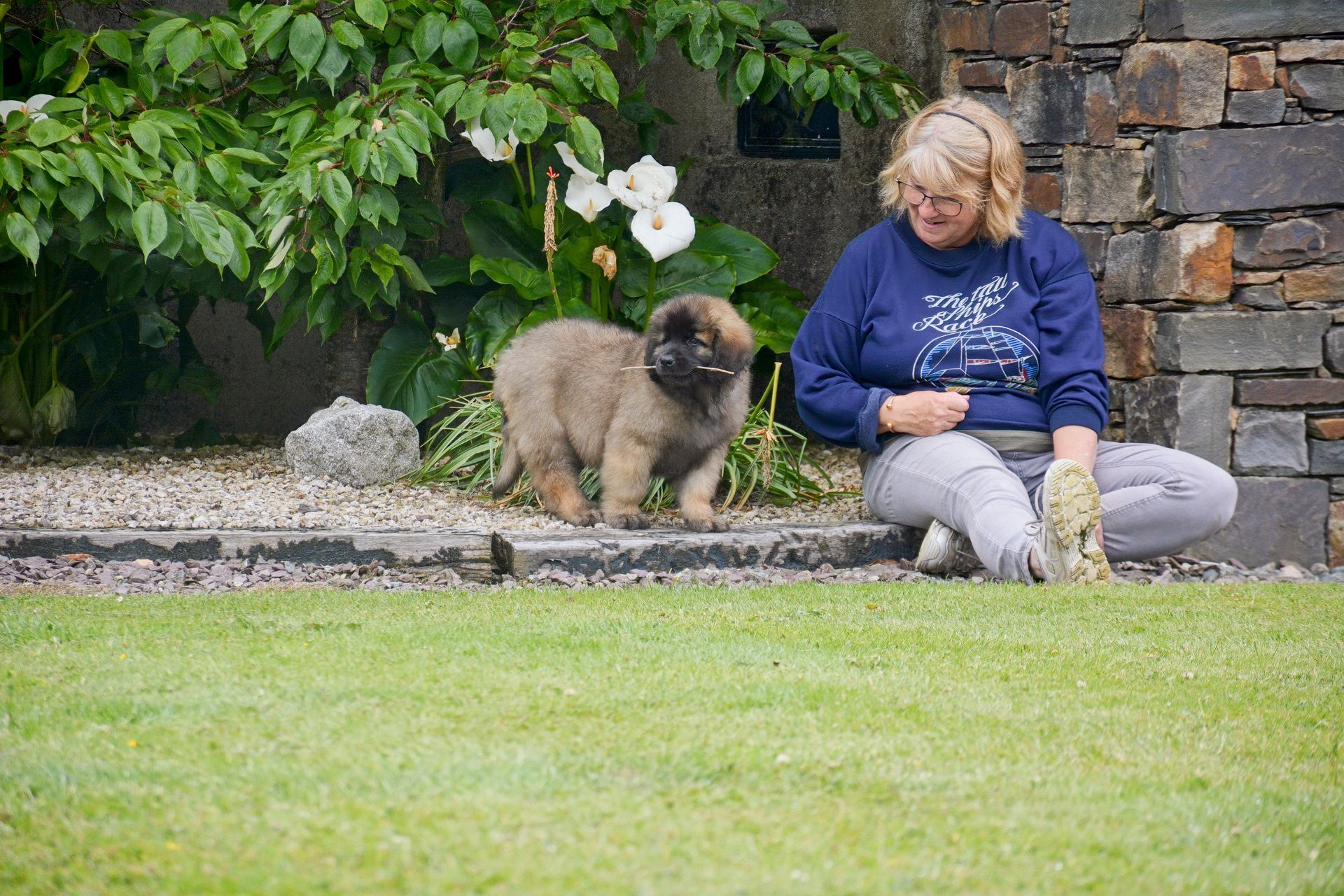 Woman sitting on grass with a dog beside a stone wall and flowers in a garden