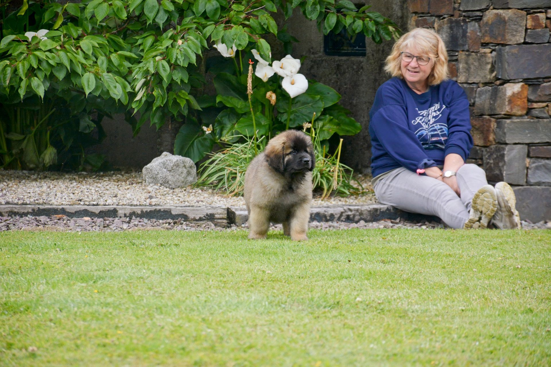 Woman sitting on a lawn beside a fluffy puppy in a garden with white flowers