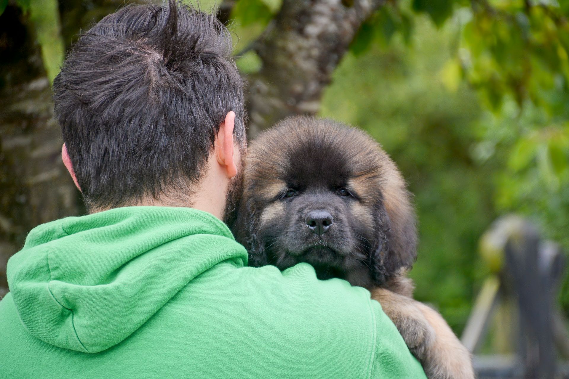 Person in a green hoodie holding a fluffy brown puppy outdoors