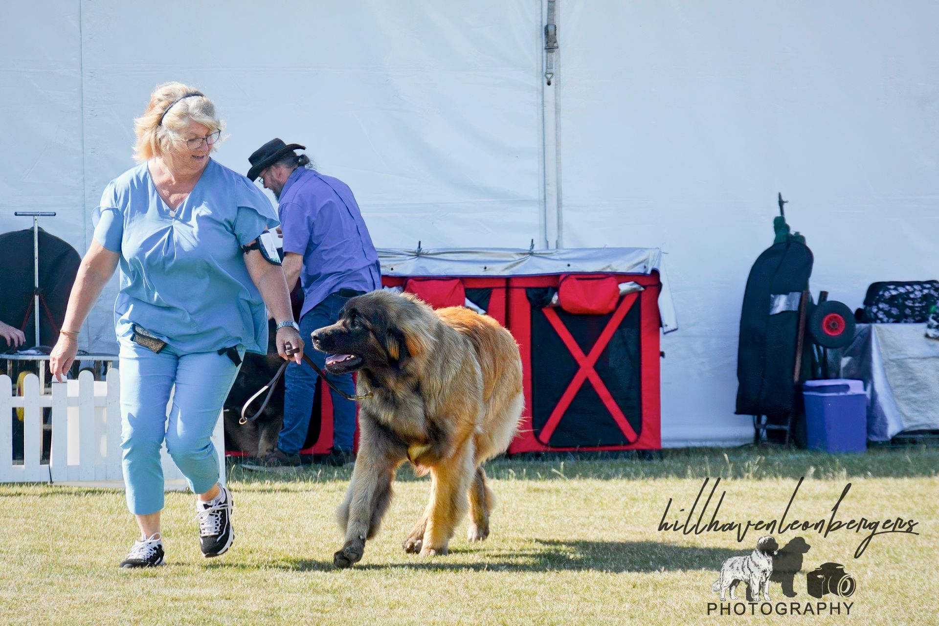 Woman walking a large fluffy dog at an outdoor event with a white tent and red equipment in the background