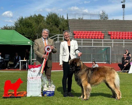 Two people with a large dog at a dog show on a grassy field, with bleachers and a tent behind them